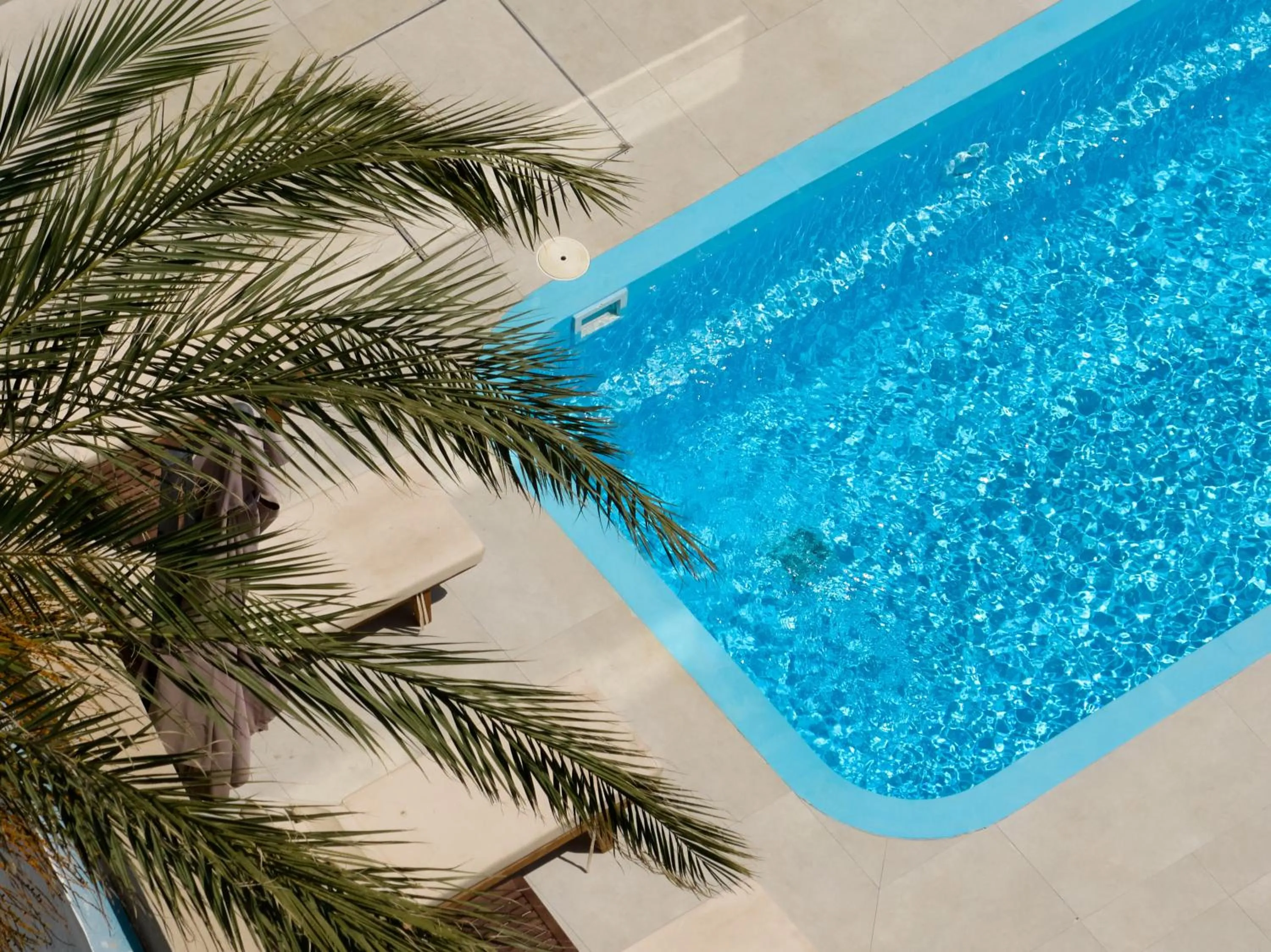 Swimming pool in Lotus Rise Hotel - Adults Only