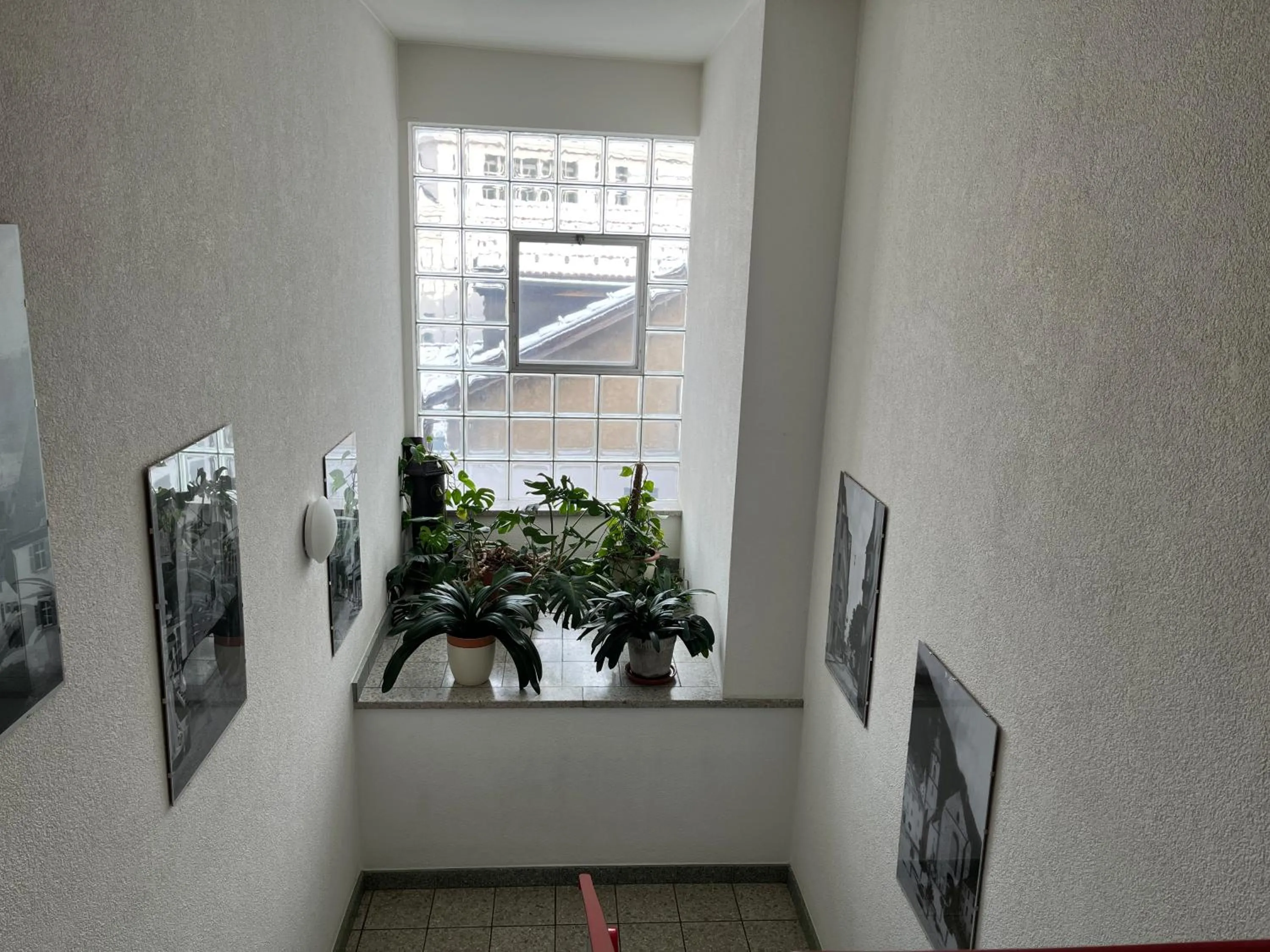 Property building in Hotel Drei Könige