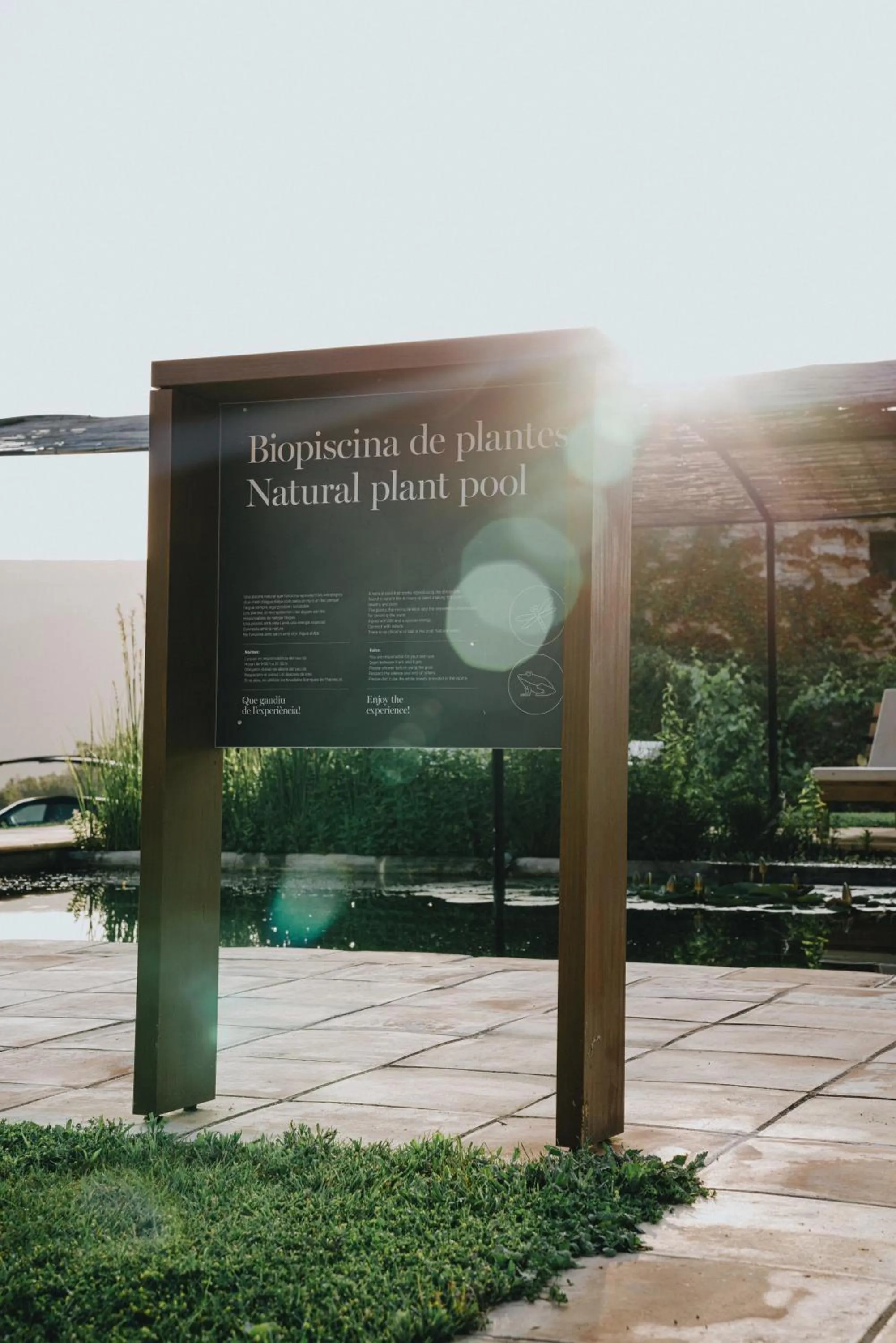 Swimming pool in ECOTurisme Can Buch HOTEL