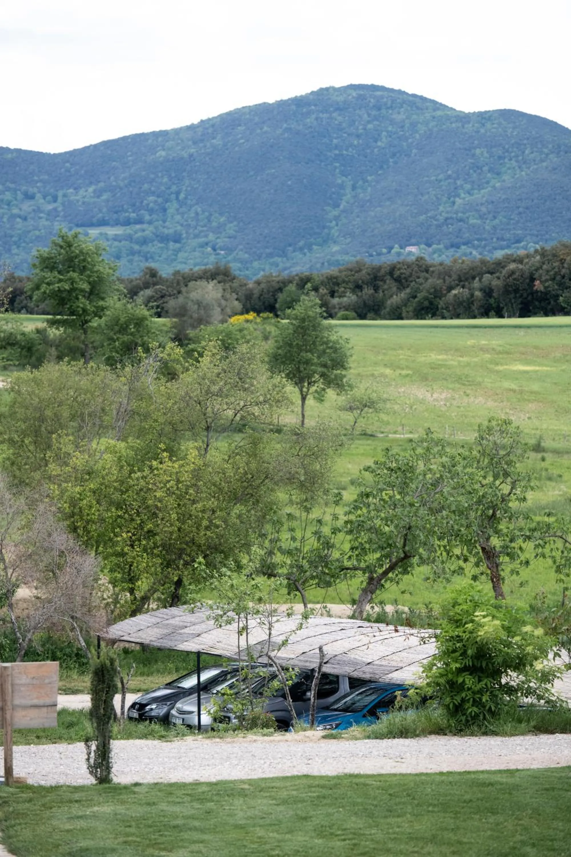 Garden view in ECOTurisme Can Buch HOTEL