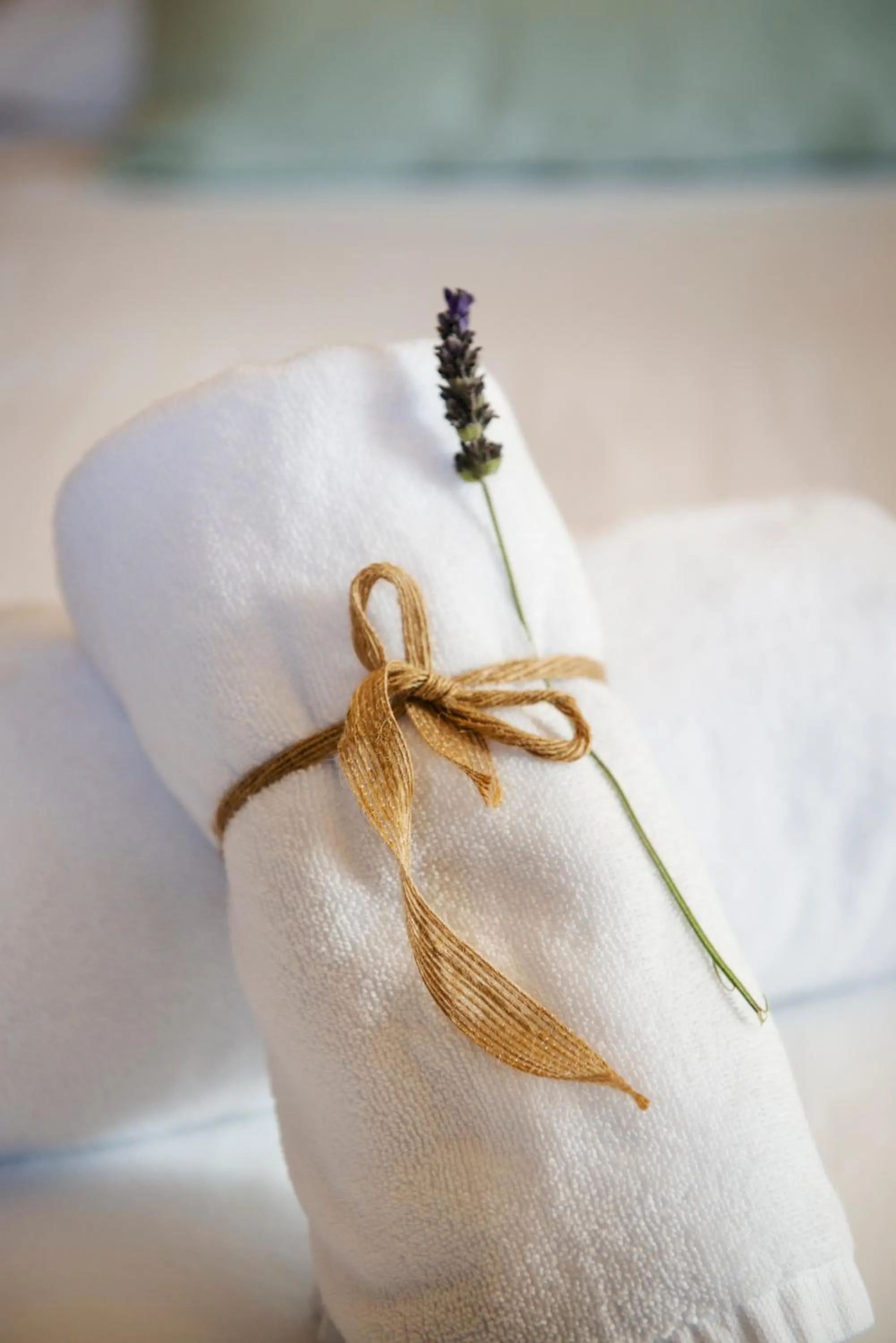 Bed in ECOTurisme Can Buch HOTEL