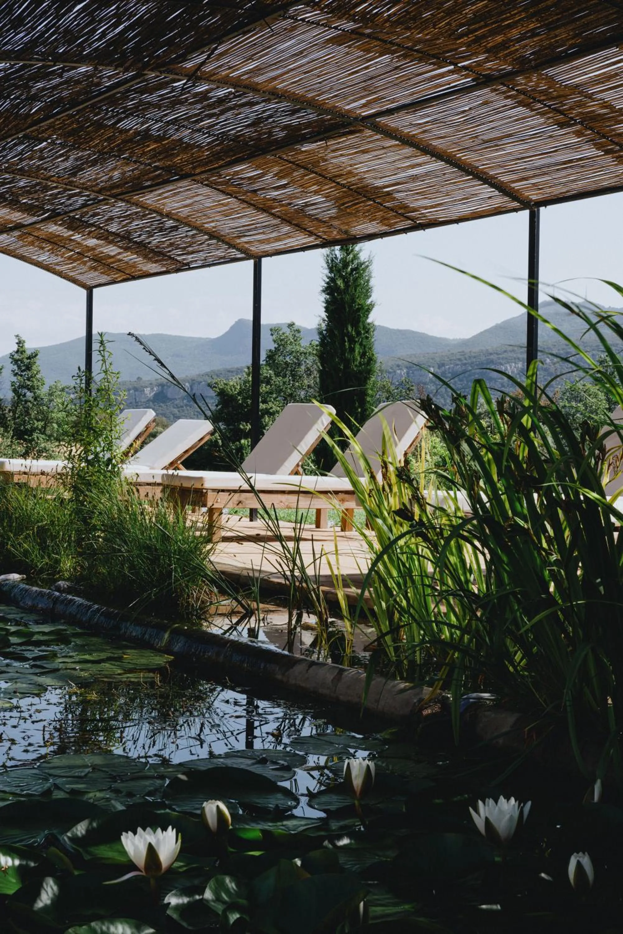 Garden in ECOTurisme Can Buch HOTEL