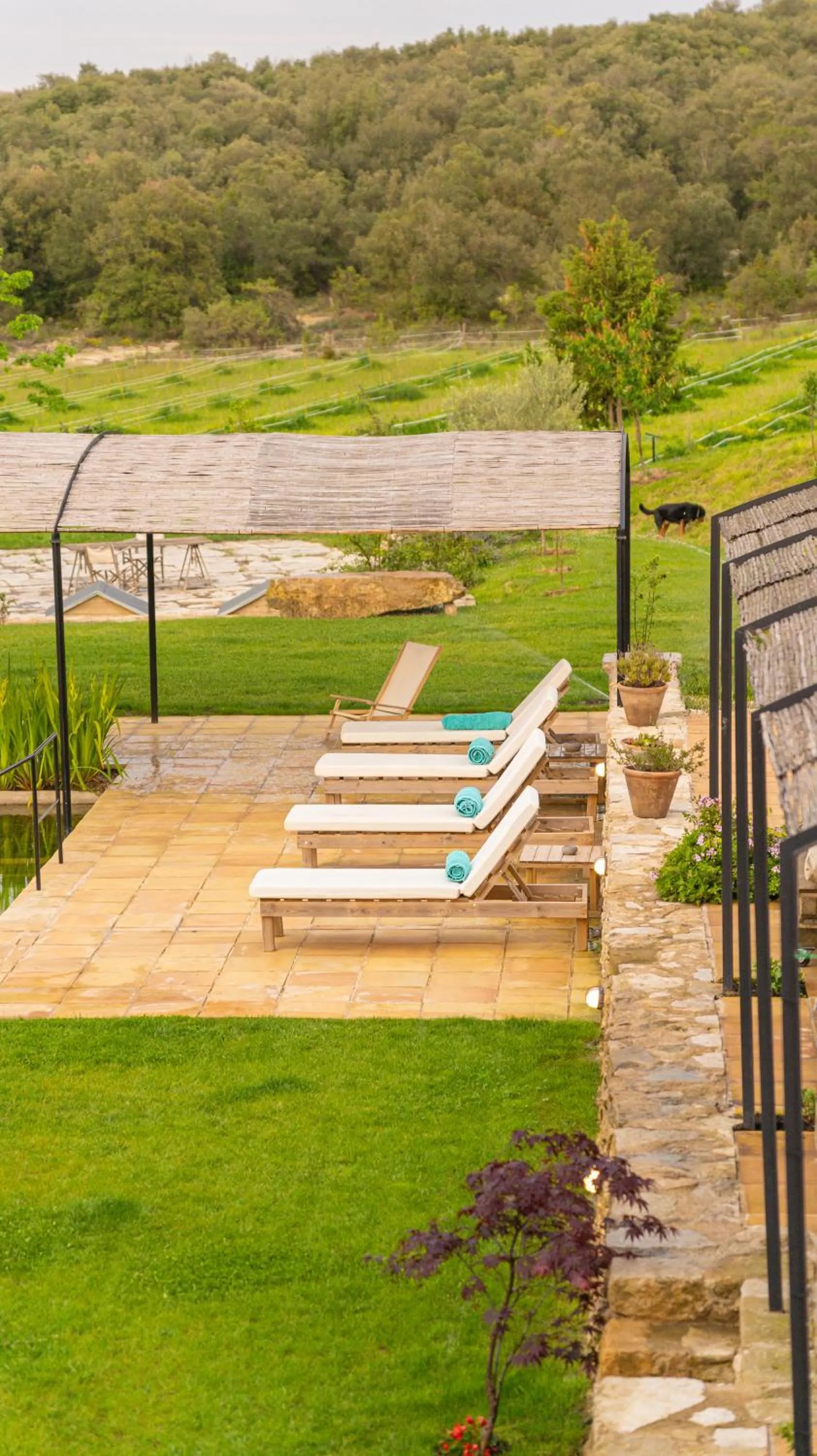 Garden view in ECOTurisme Can Buch HOTEL