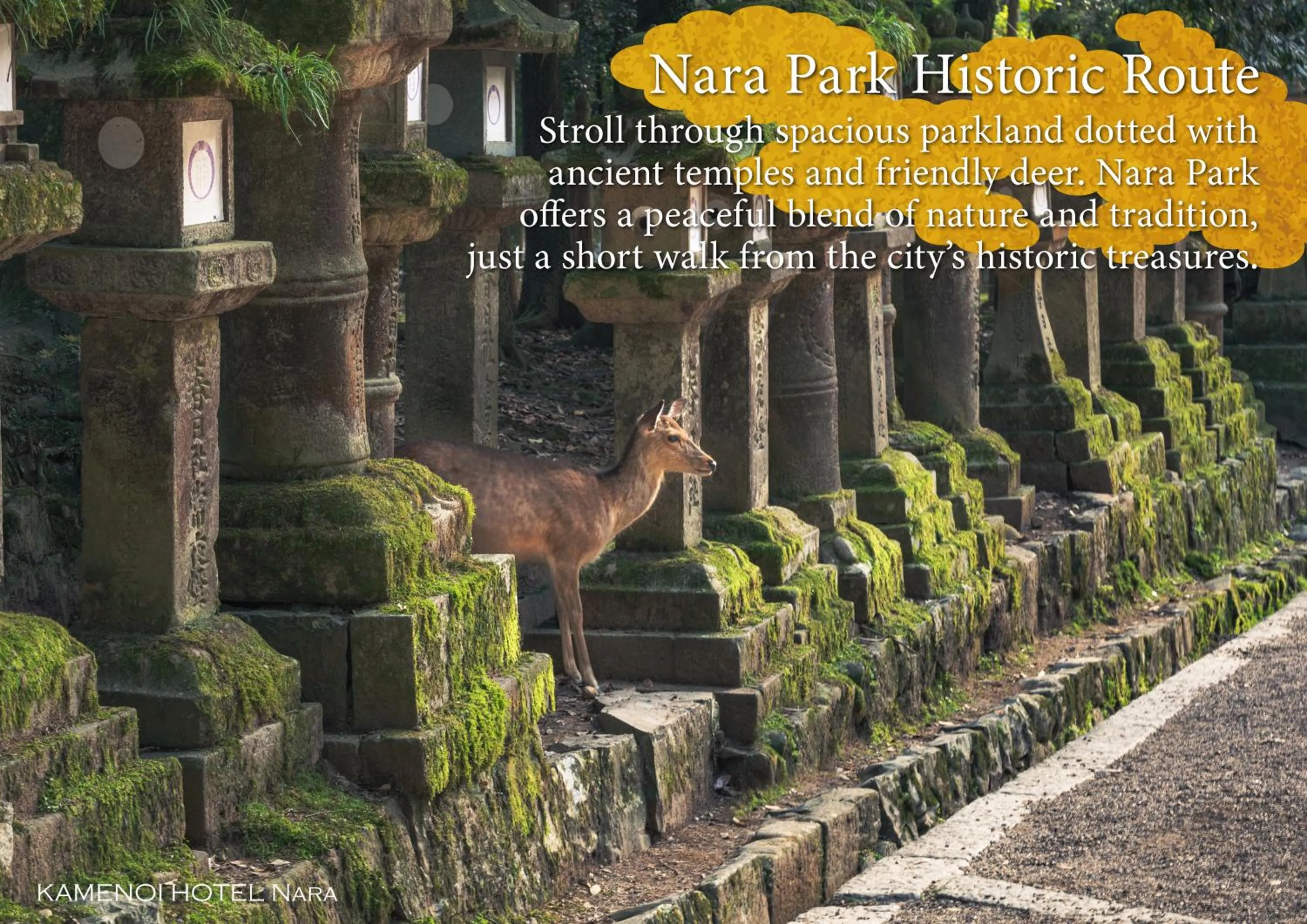 Nearby landmark in KAMENOI HOTEL Nara