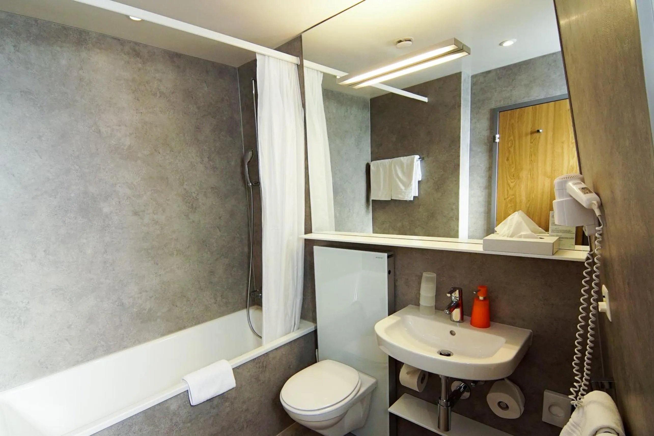 Toilet in Hotel Waldhorn