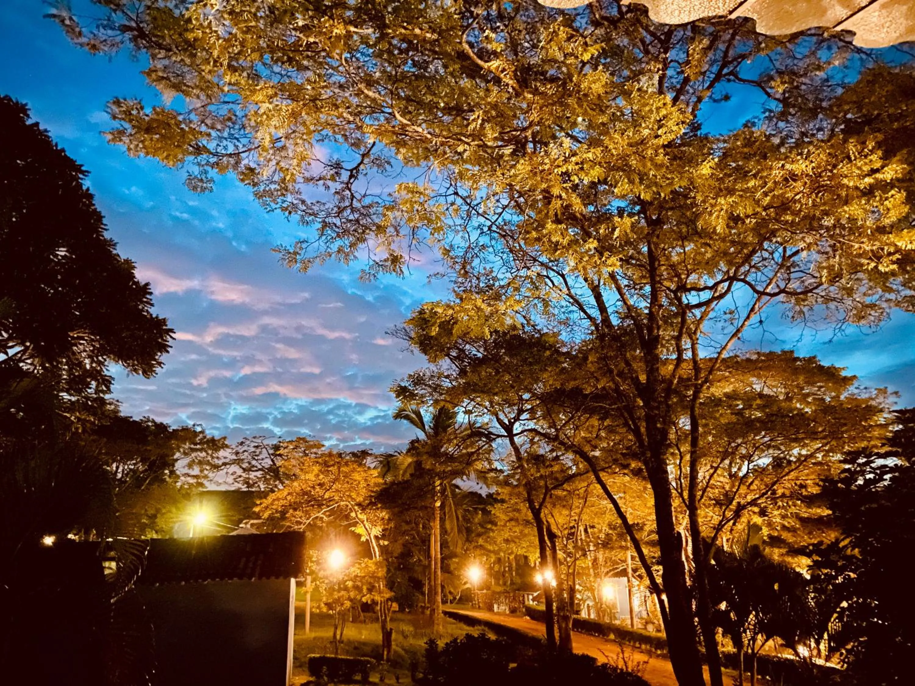Natural landscape in Hotel Fazenda Juca Mulato