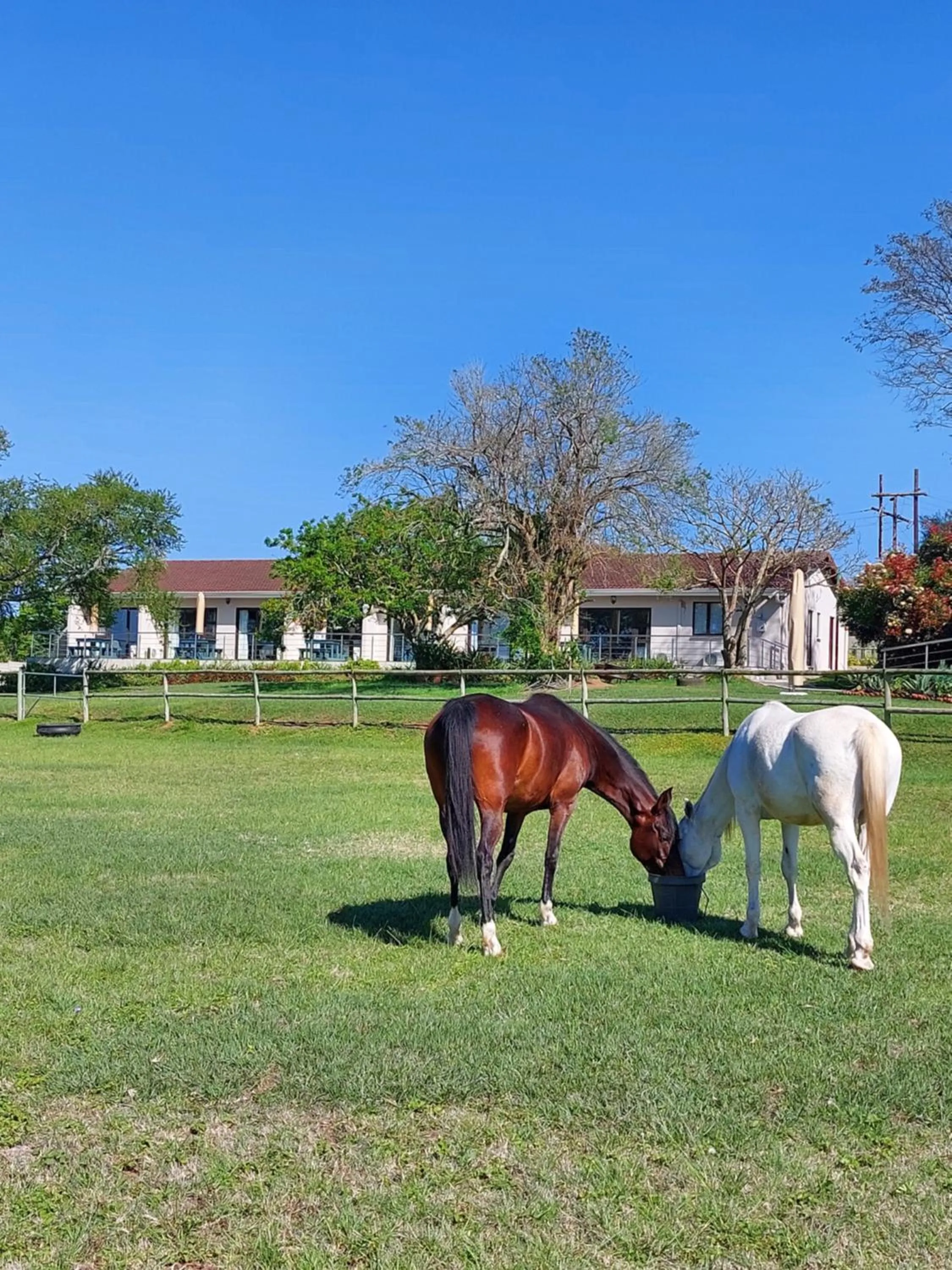 Property building in Equestre BnB