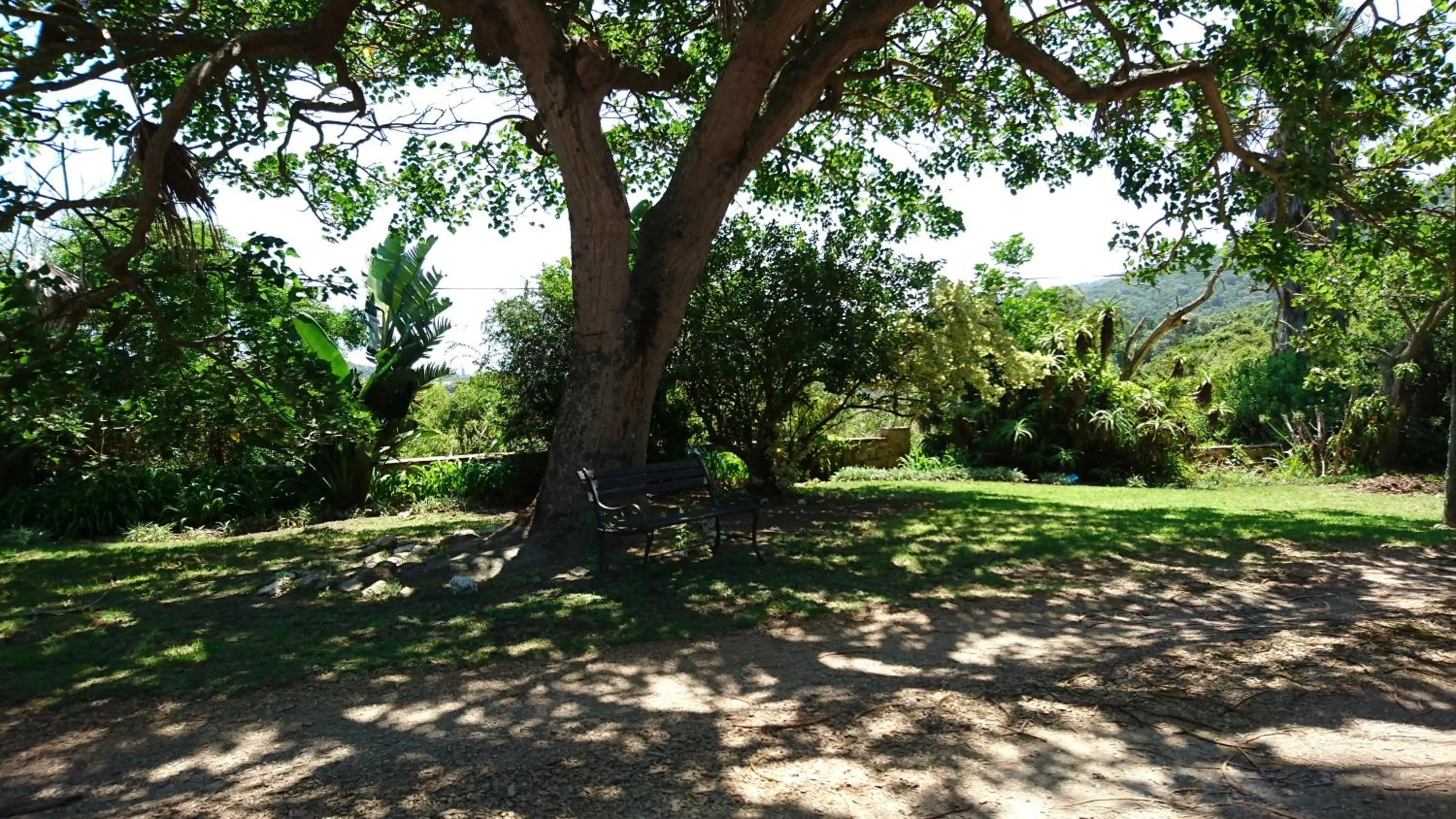 Day in Fairy Knowe Hotel