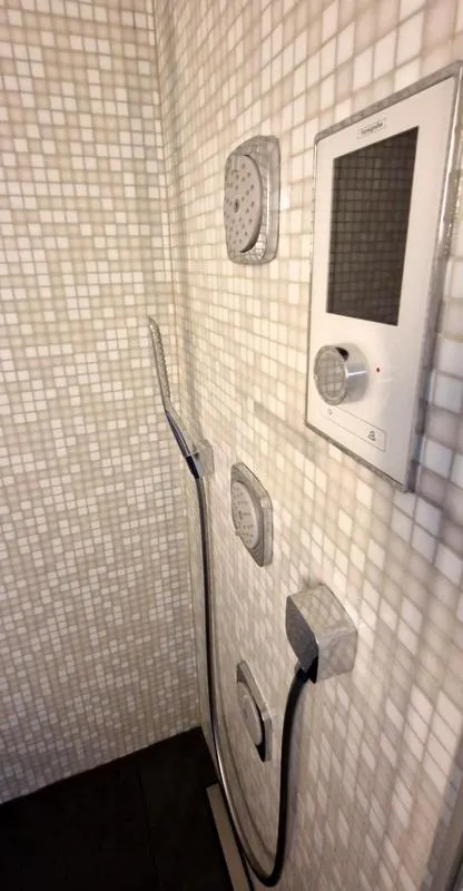 Shower in Soldanella