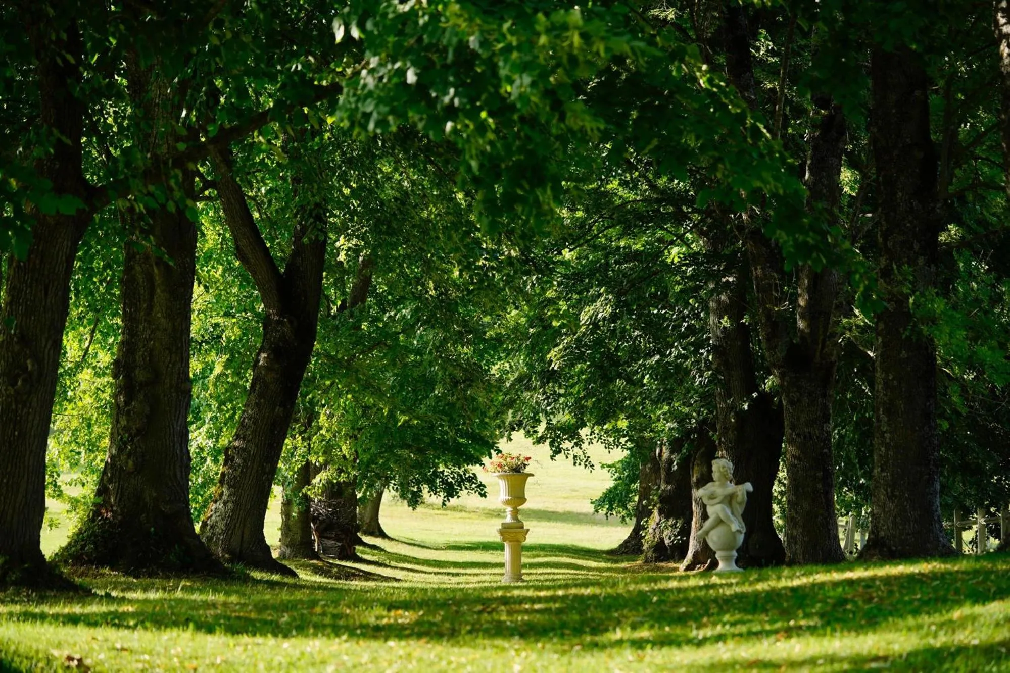 Natural landscape in Le Clos Cathala Chambres d'Hôtes