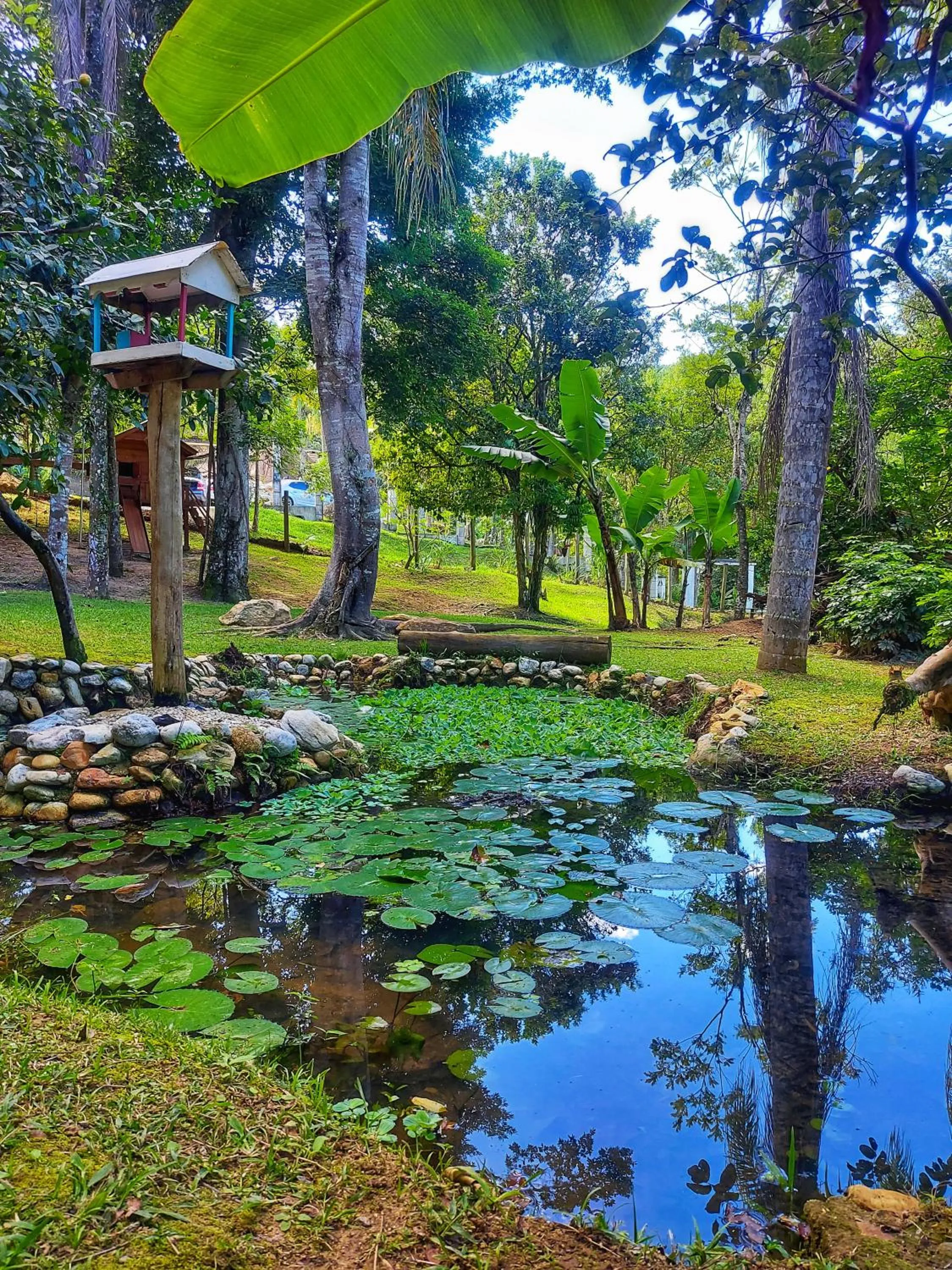 Spring in Pousada Sítio Olho D'Água