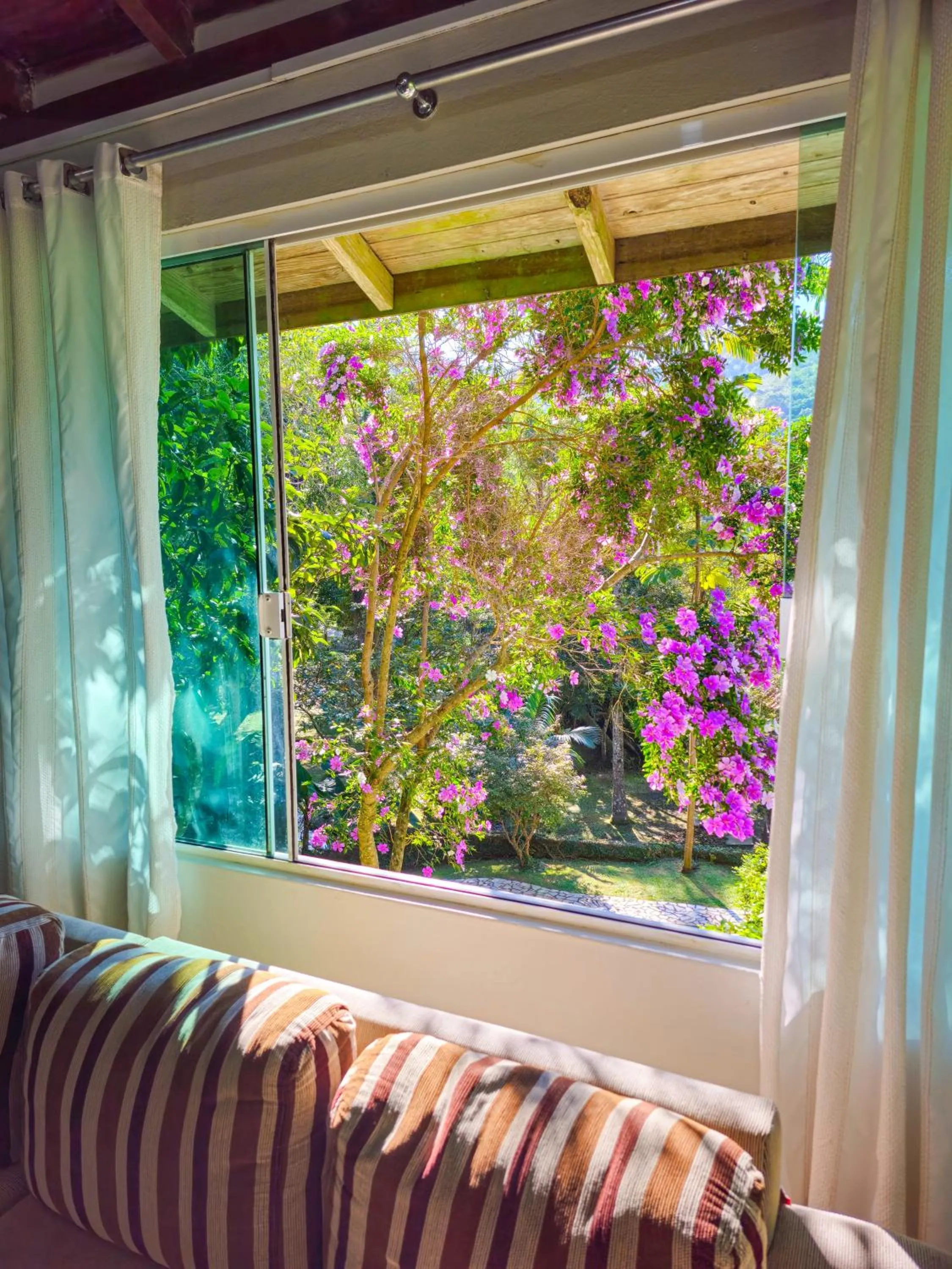 Day in Pousada Sítio Olho D'Água