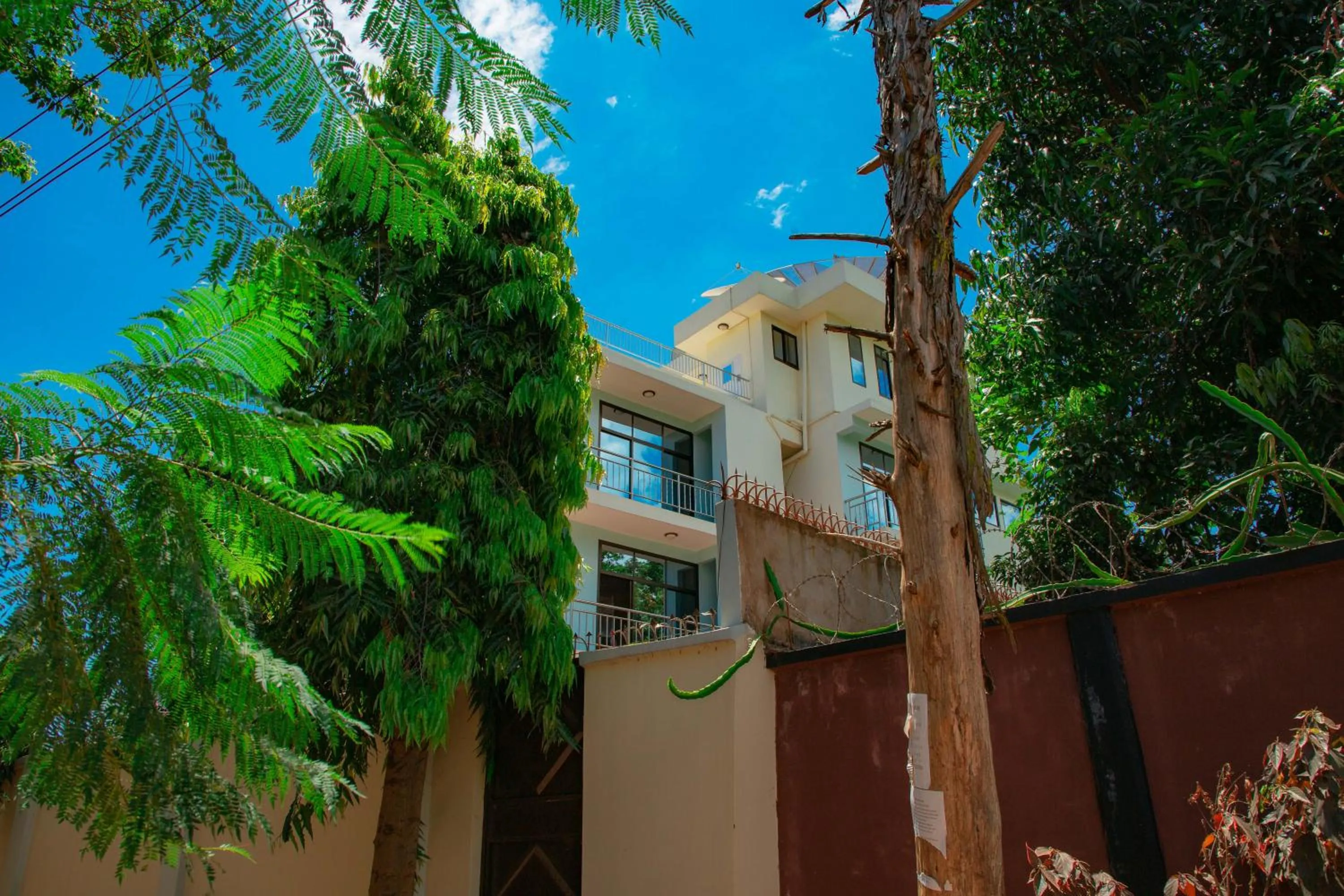 Patio in Kilimanjaro White House Hotel
