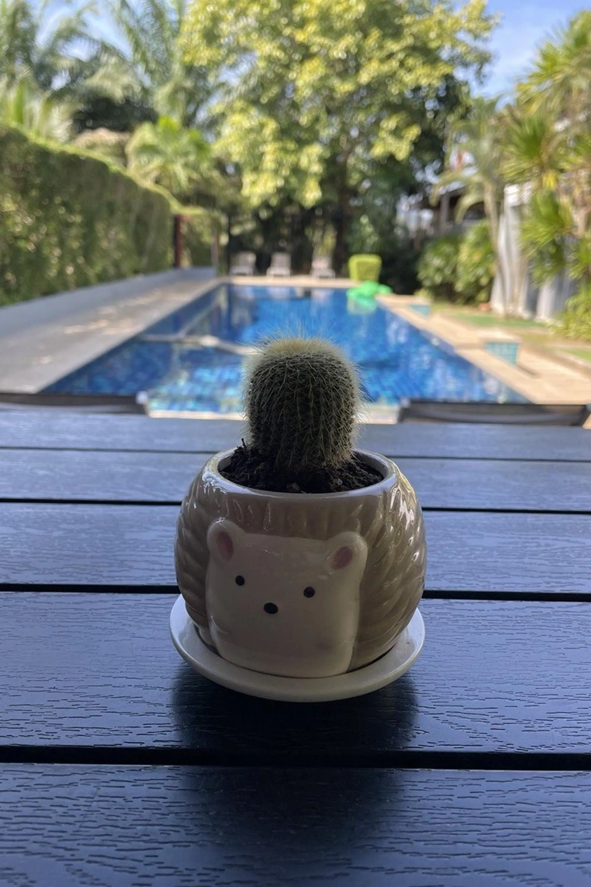 View (from property/room) in The Fong Krabi resort