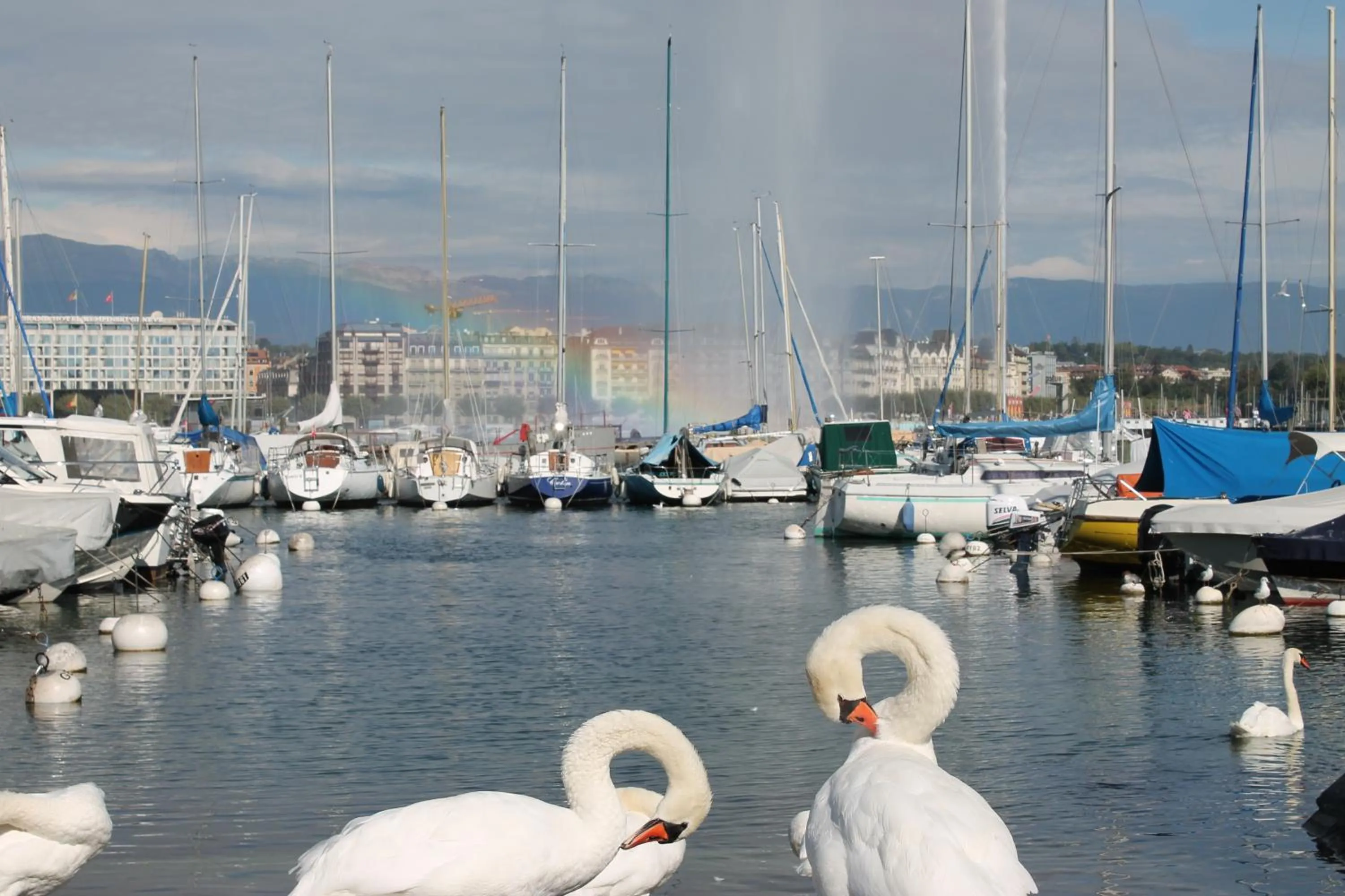 Natural landscape in The New Midi