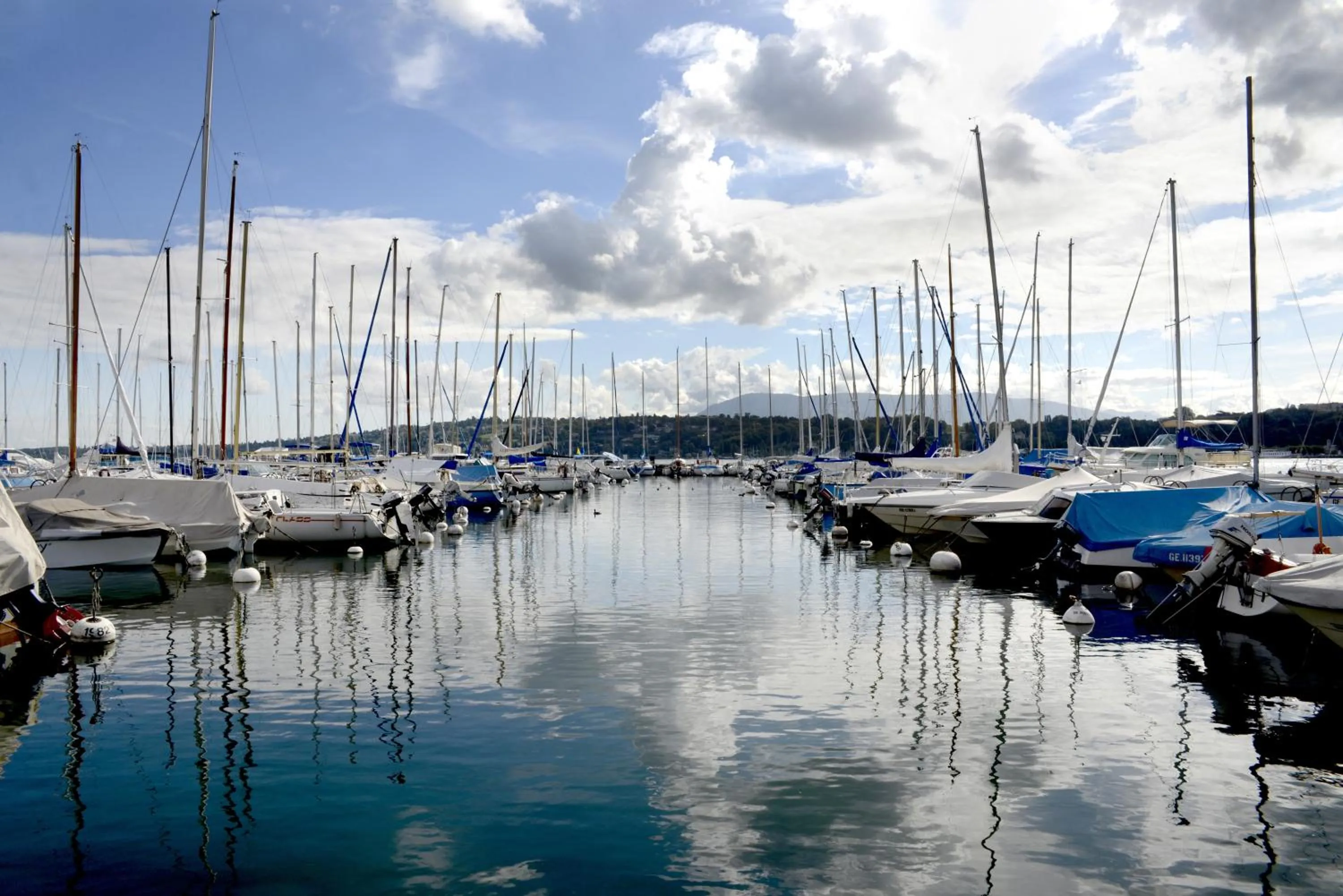 Area and facilities in The New Midi