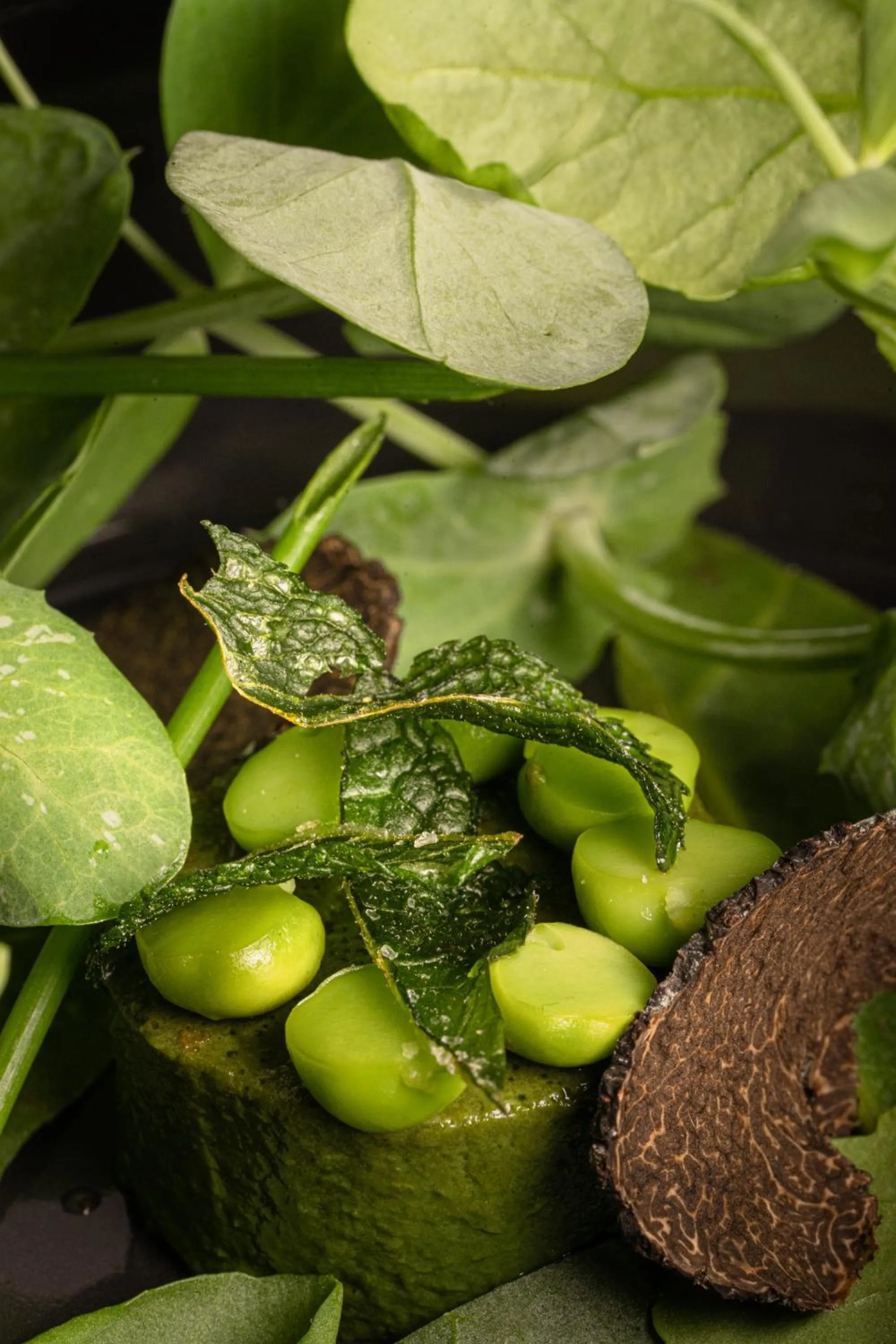 Restaurant/places to eat in Demeures & Châteaux Auberge de la Tour - Hôtel & Restaurants - Marcolès Auvergne