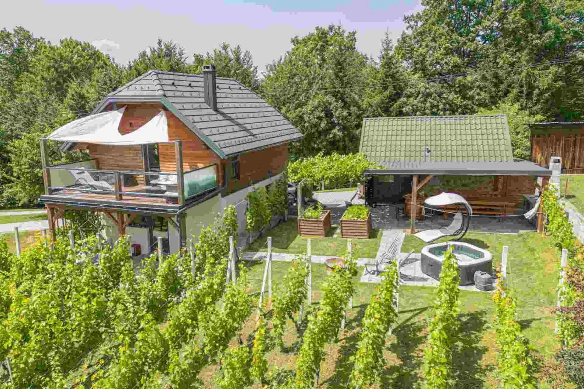 Property building in Vineyard cottage Matej