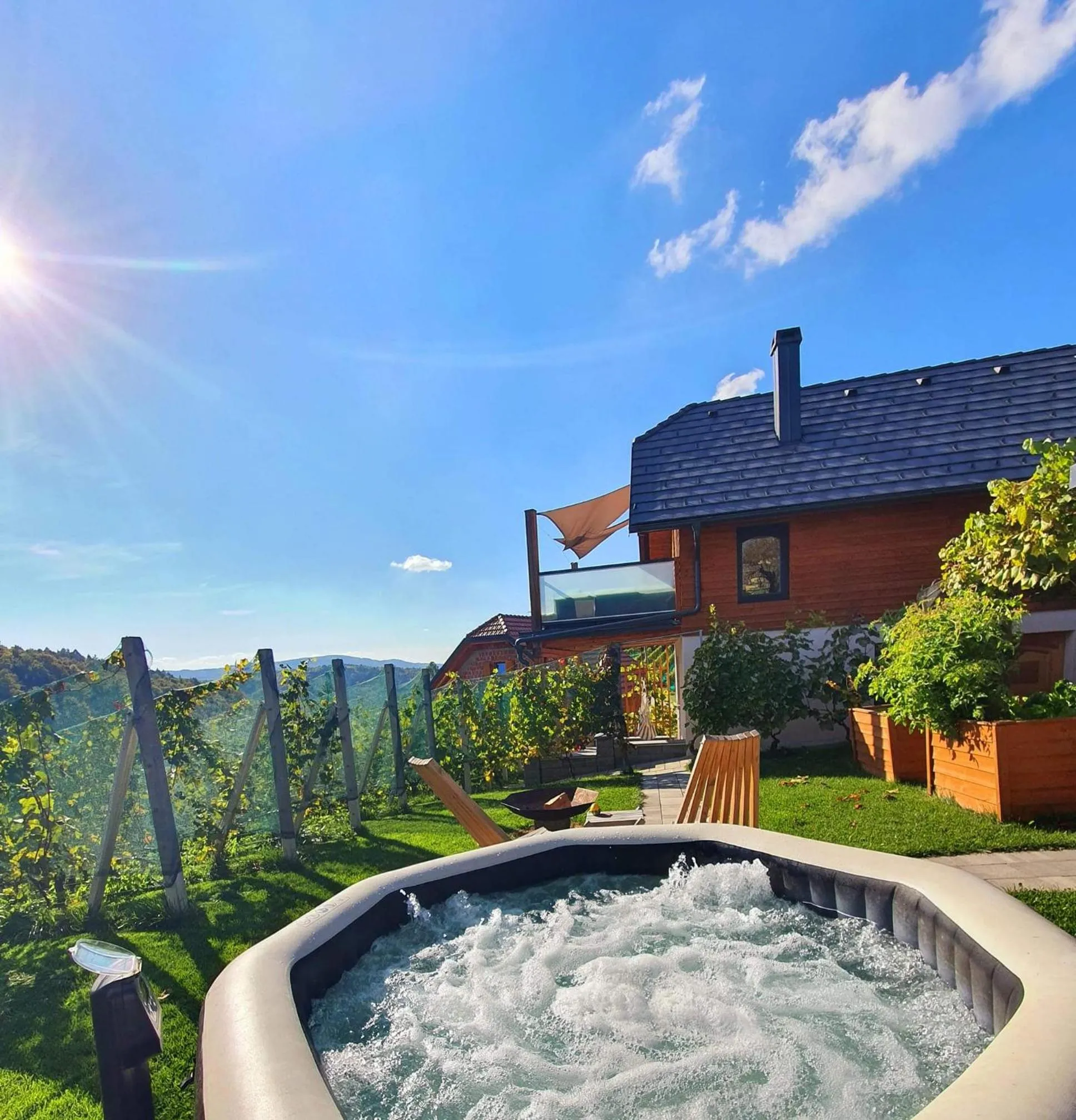 Property building in Vineyard cottage Matej
