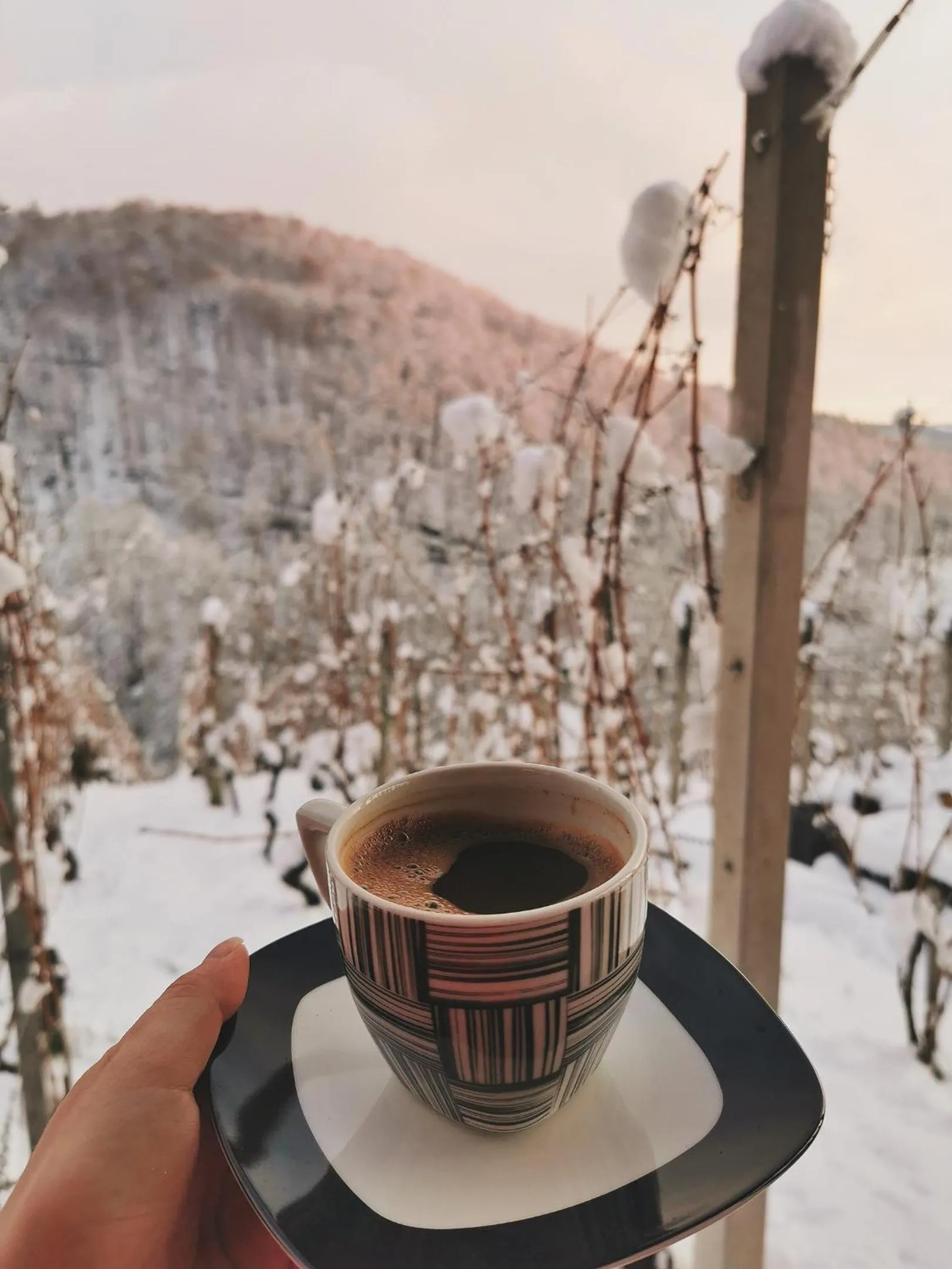Winter in Vineyard cottage Matej