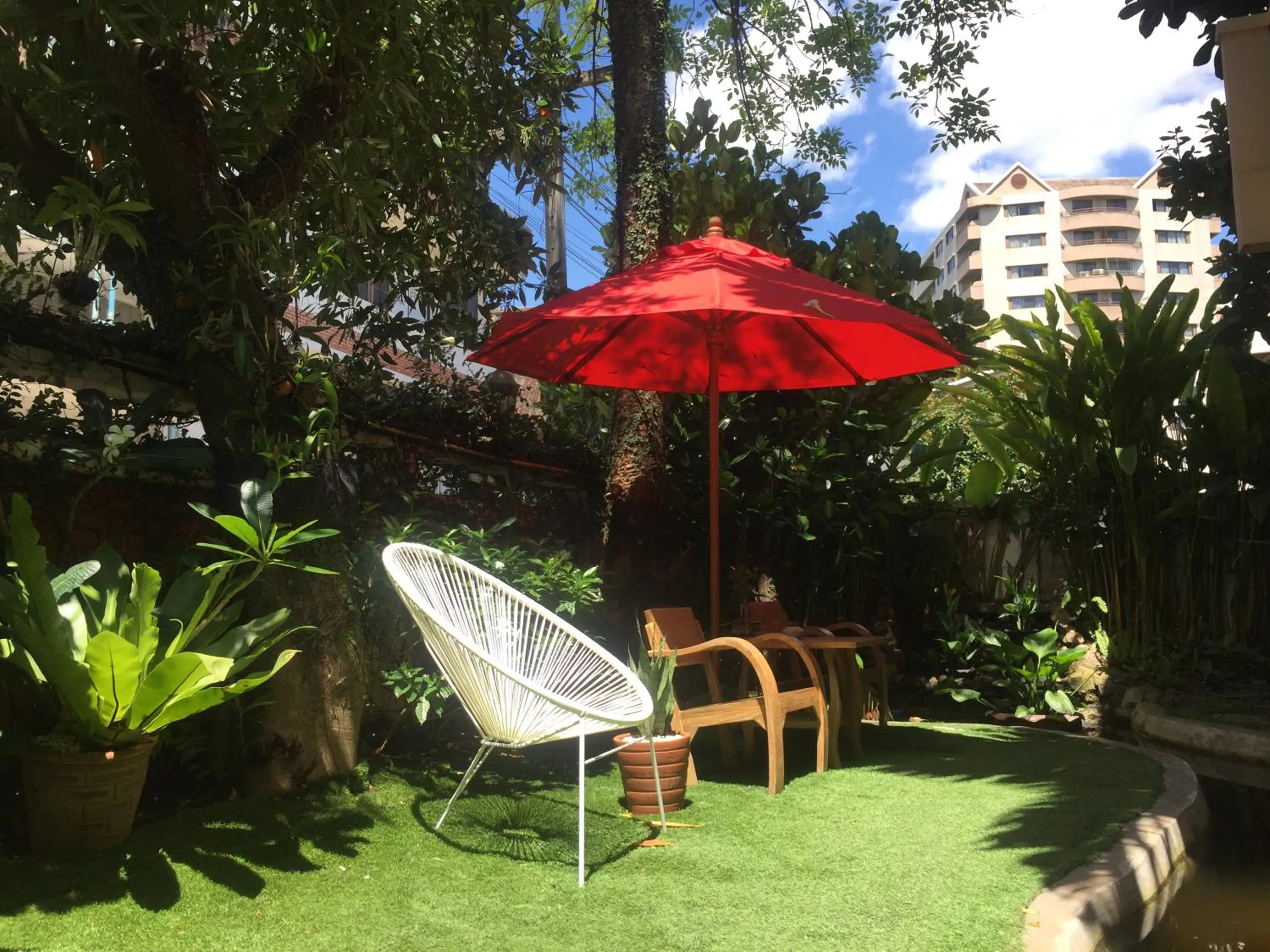 Garden in Dream Garden Villa Hotel Night Bazaar ChiangMai