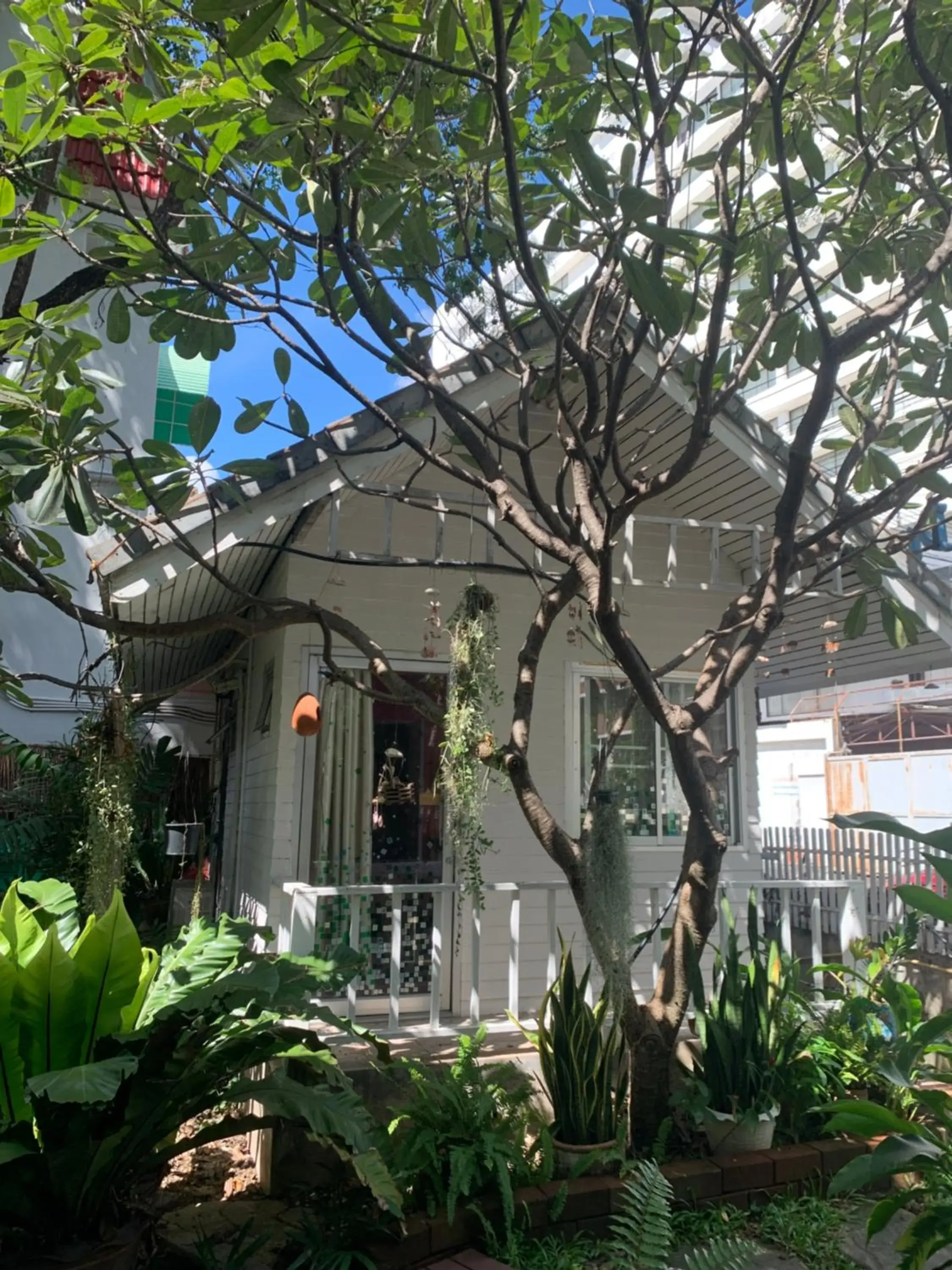 Small Double Room in Dream Garden Villa Hotel Night Bazaar ChiangMai Small Double Room in Dream Garden Villa Hotel Night Bazaar ChiangMai