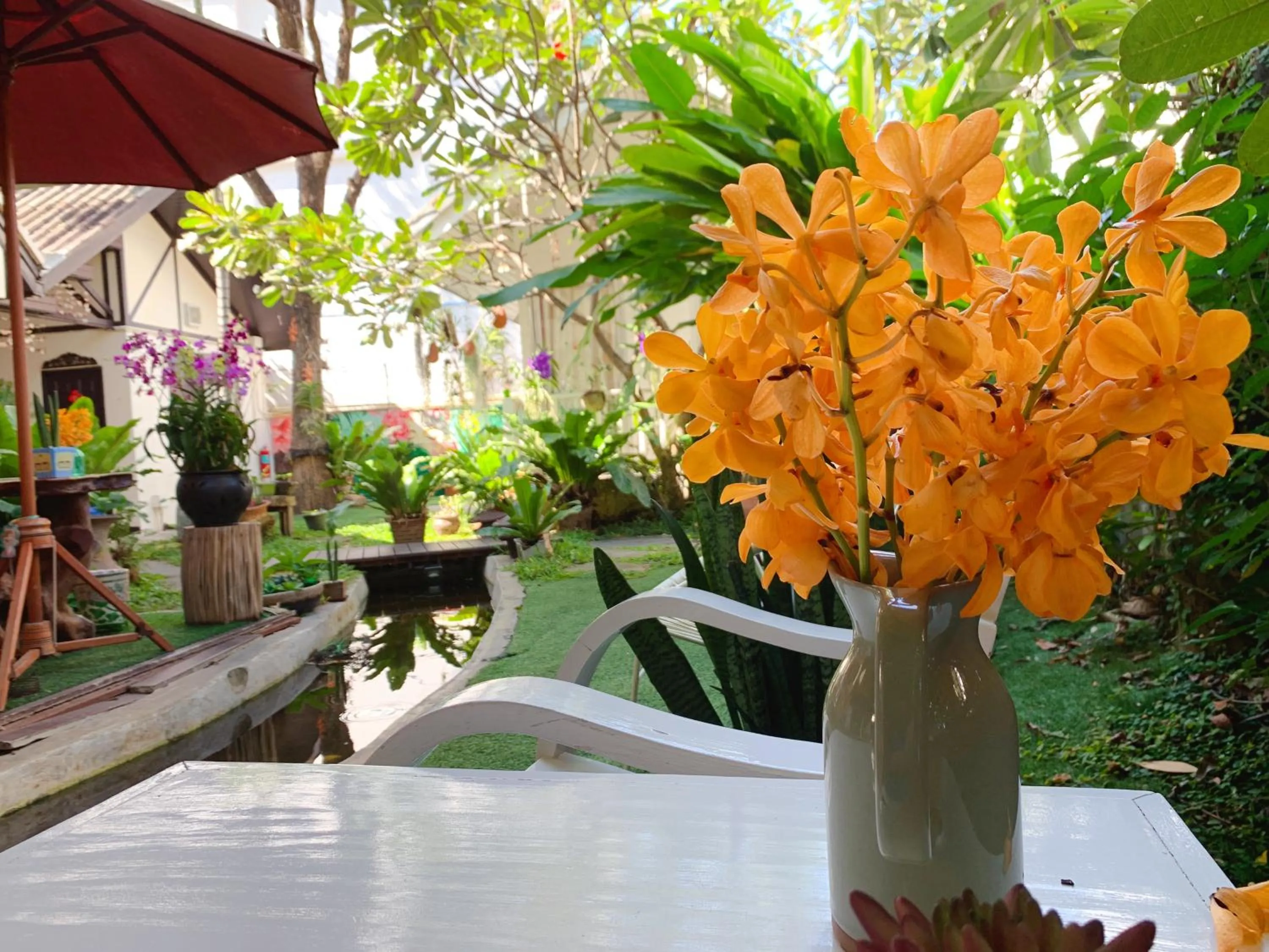 Garden in Dream Garden Villa Hotel Night Bazaar ChiangMai