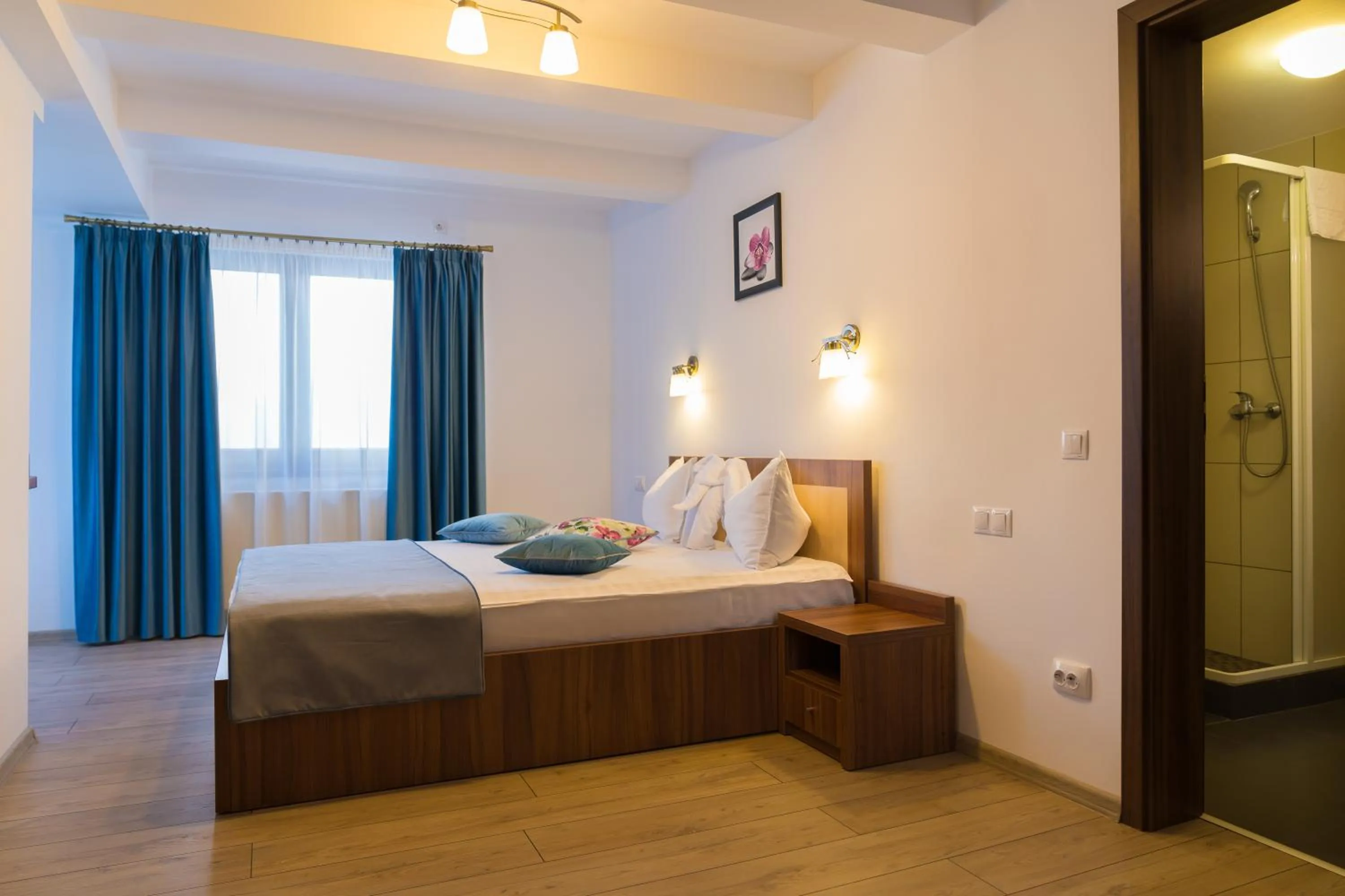 Bed in Pensiunea Transilvania