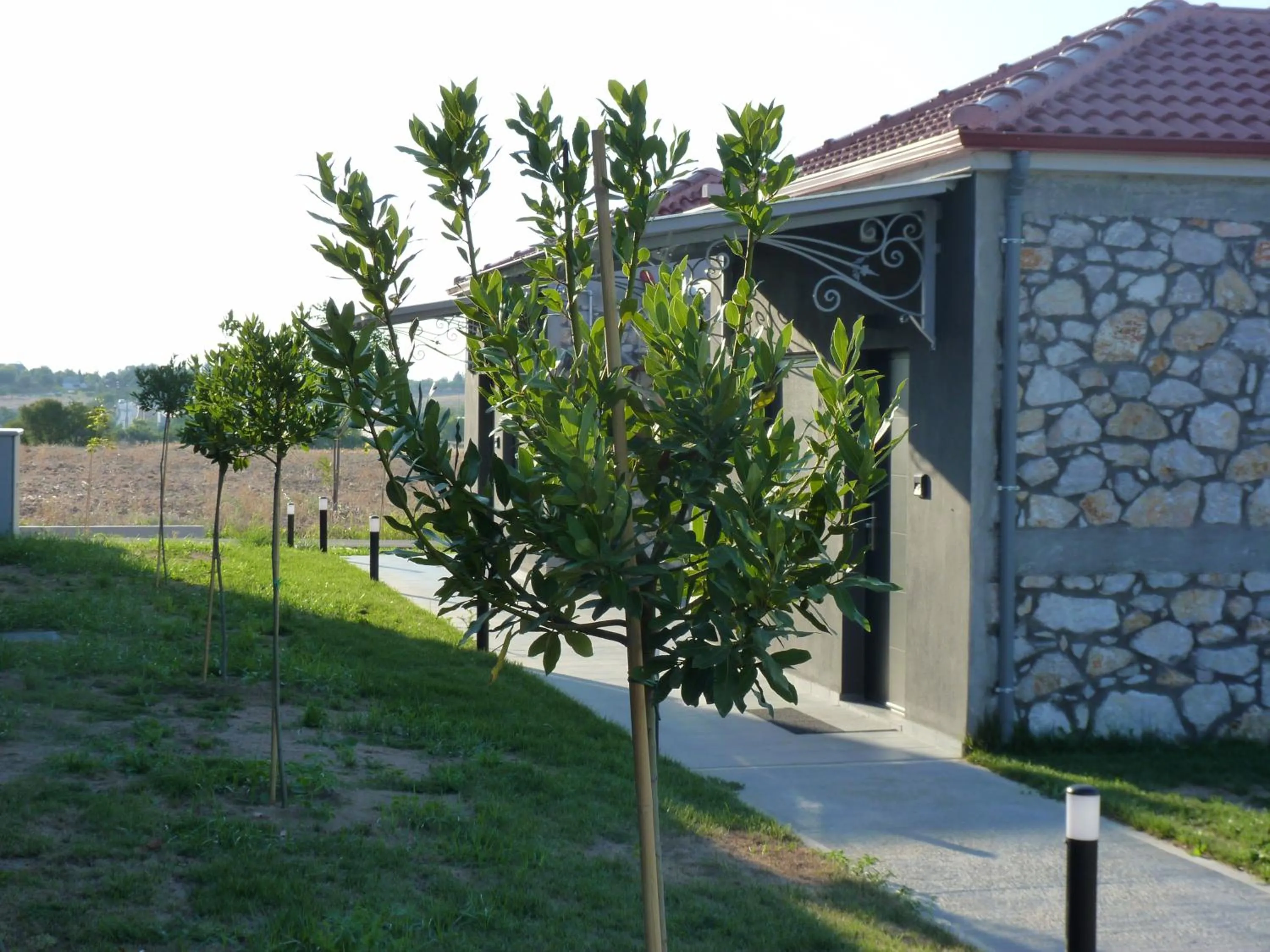 Comfort Suites & Rooms