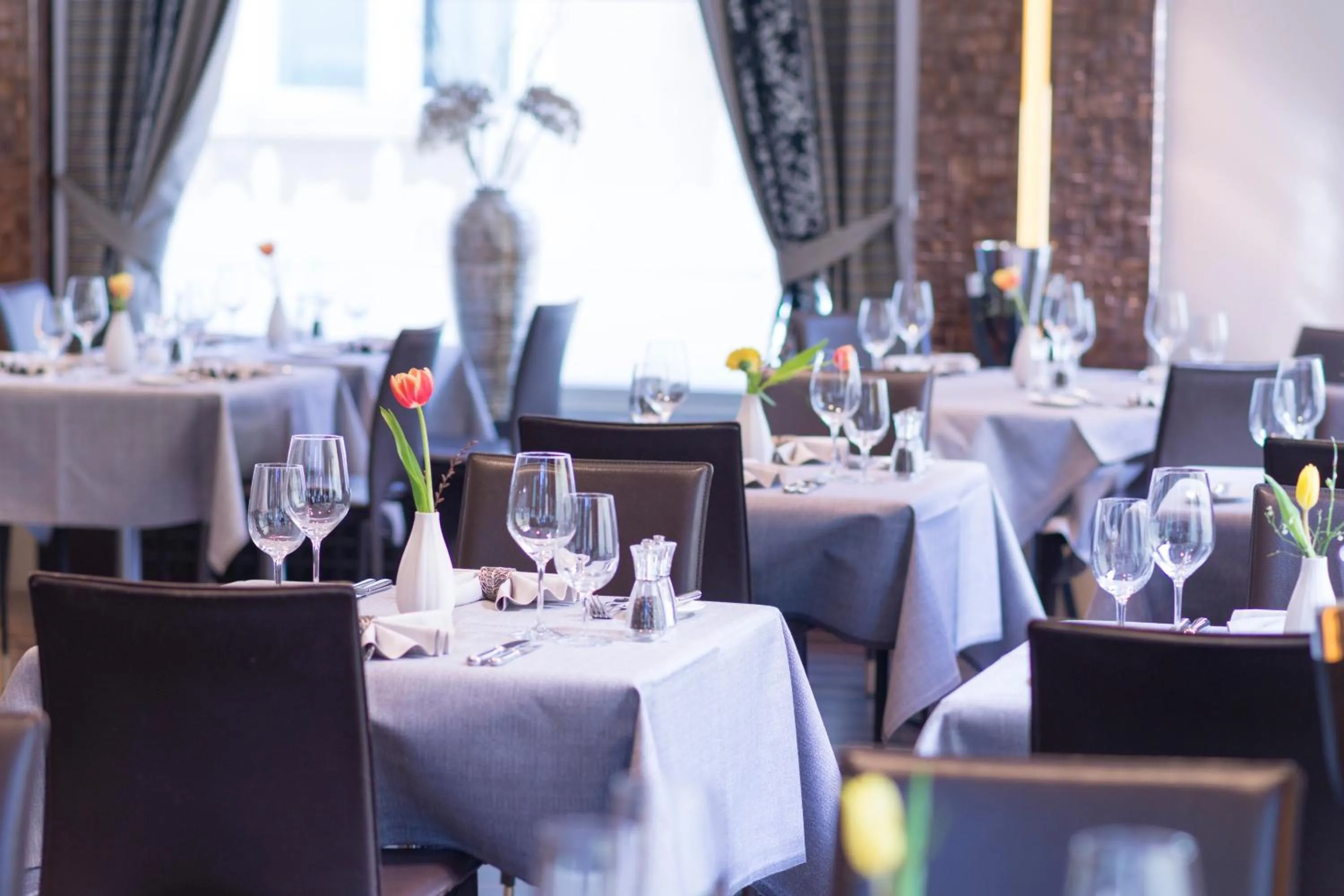 Restaurant/places to eat in Hotel Krone Unterstrass