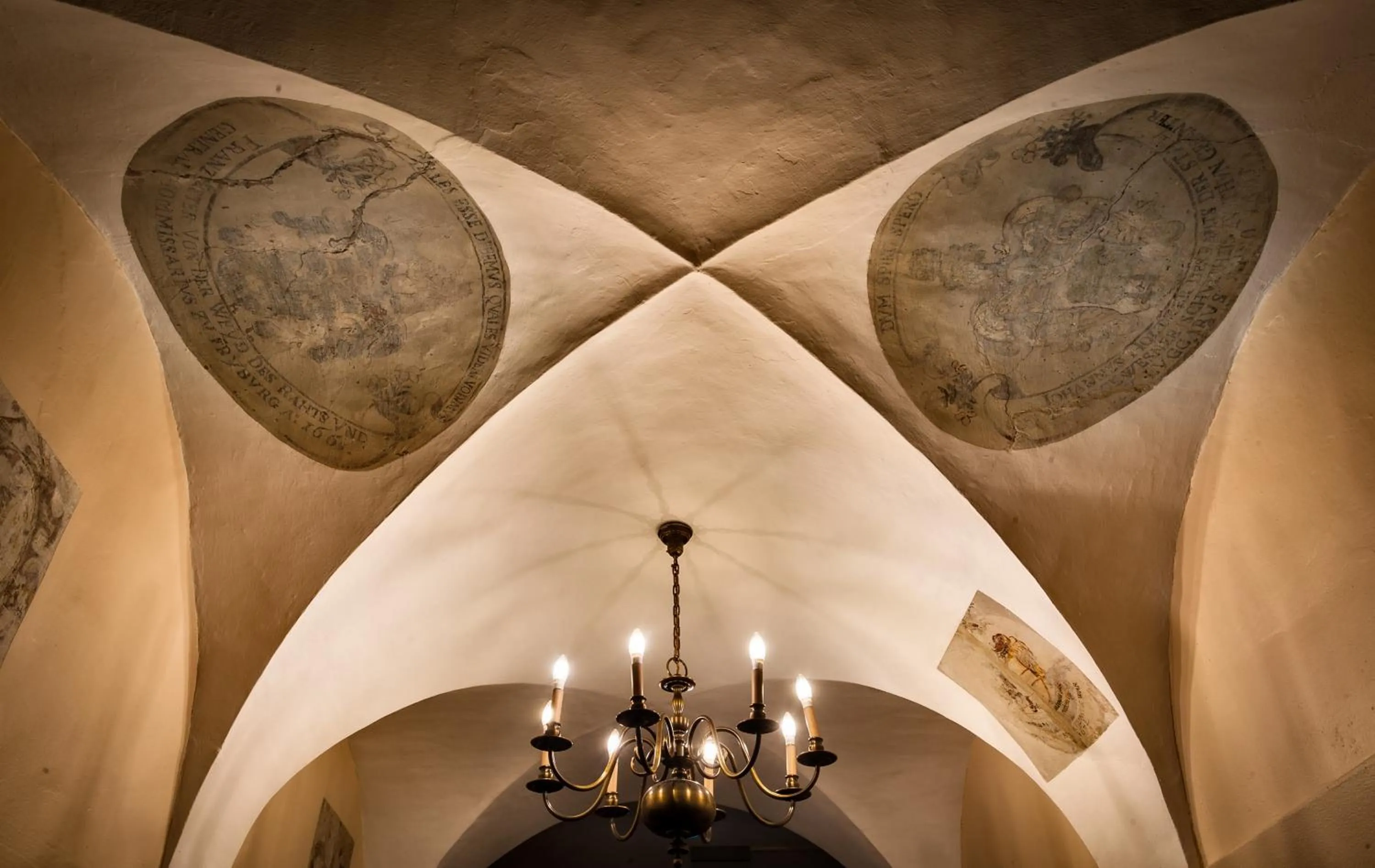 Area and facilities in Hotel dell'Angelo