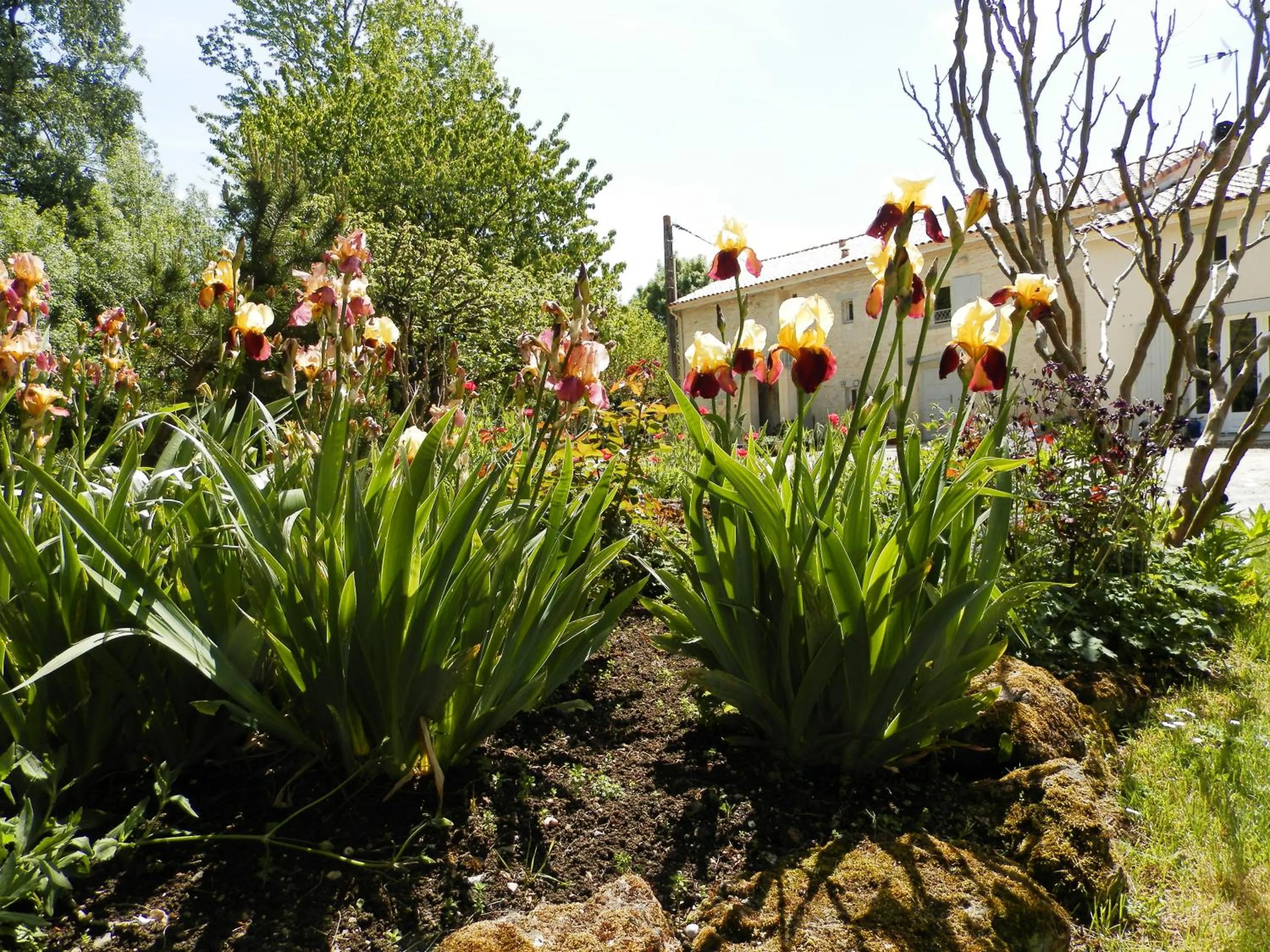 Au pré du Mignon aux portes du Marais Poitevin