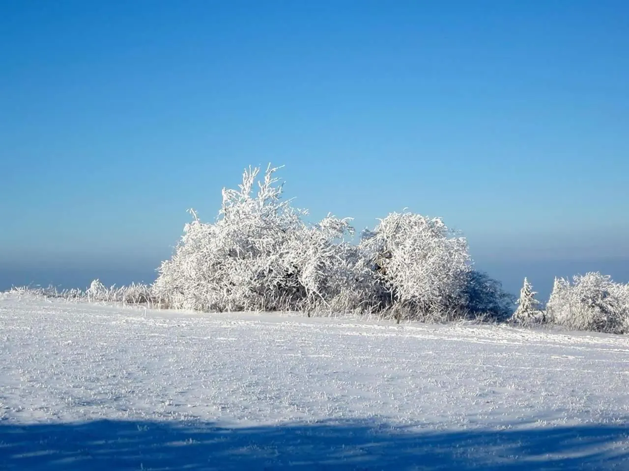 Area and facilities in Rhönblick Landhotel - Restaurant - Countrypub