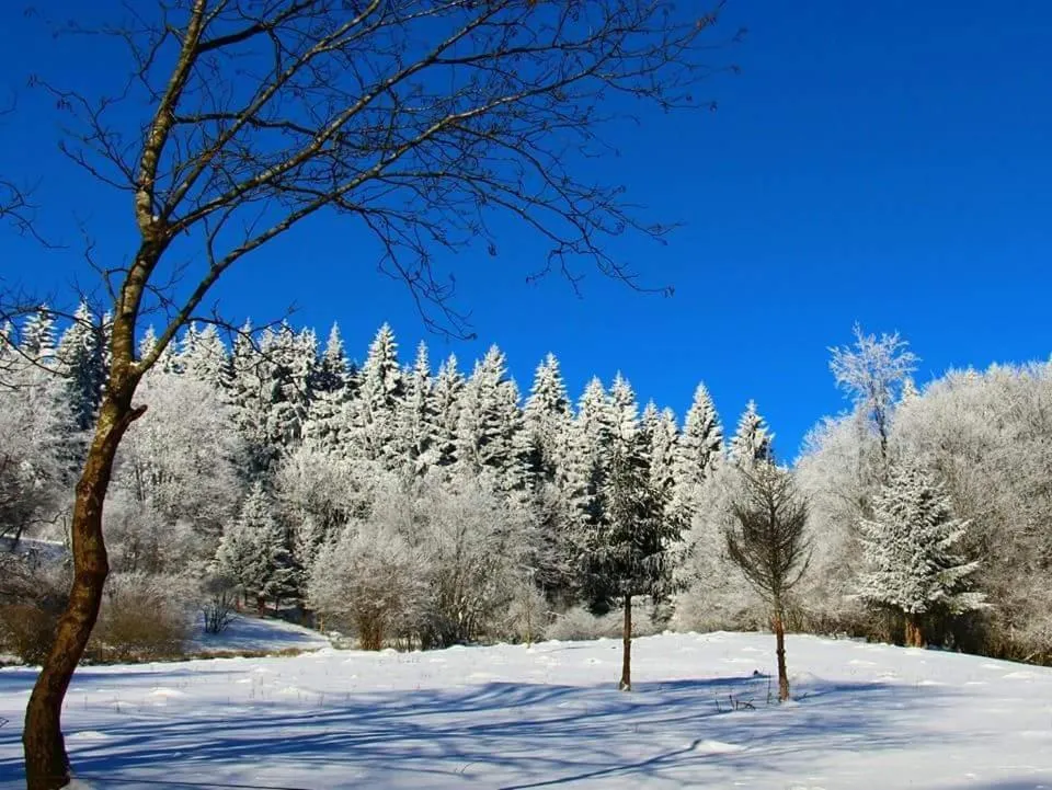 Area and facilities in Rhönblick Landhotel - Restaurant - Countrypub
