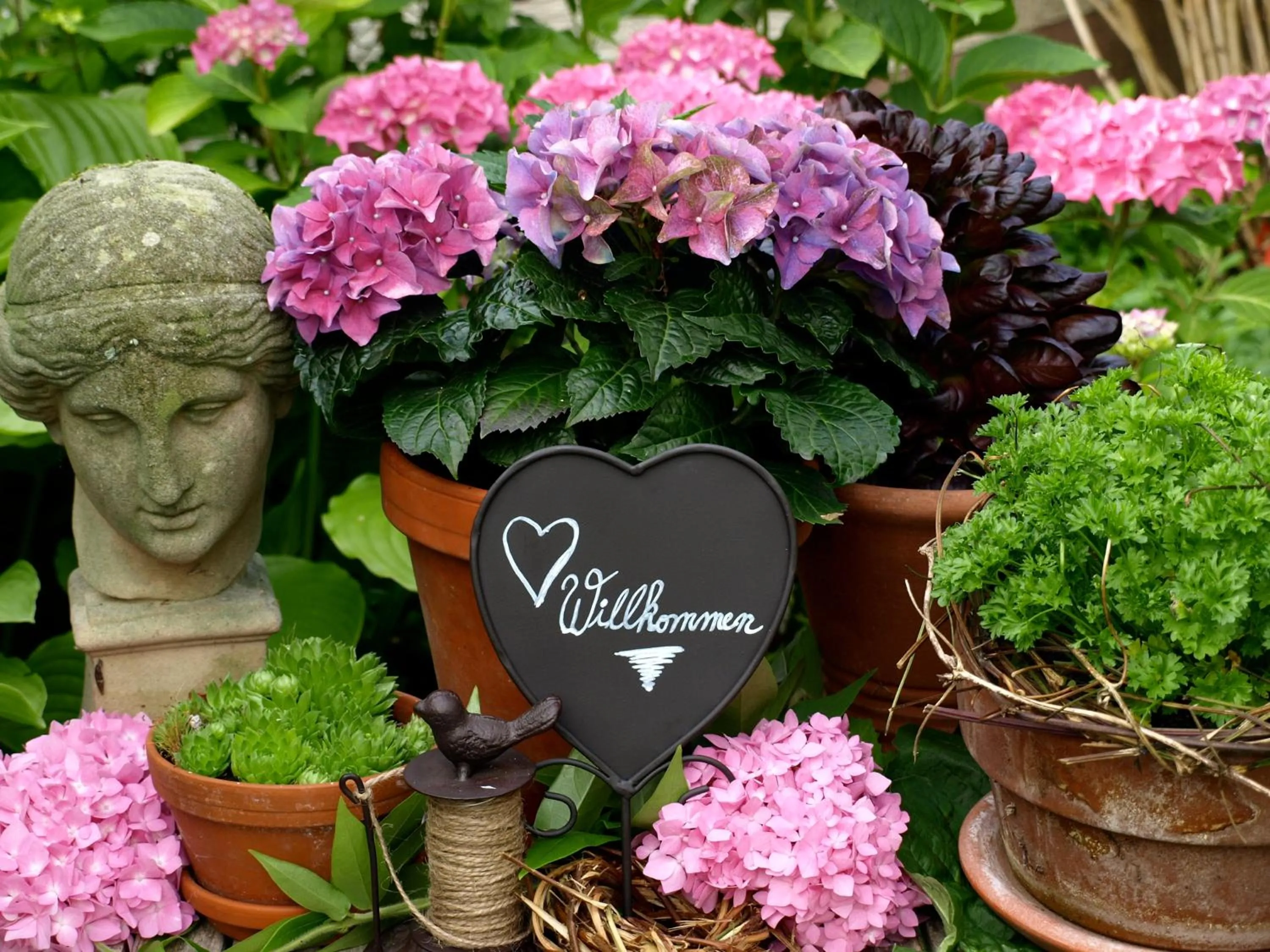 Garden in Winzerstübchen