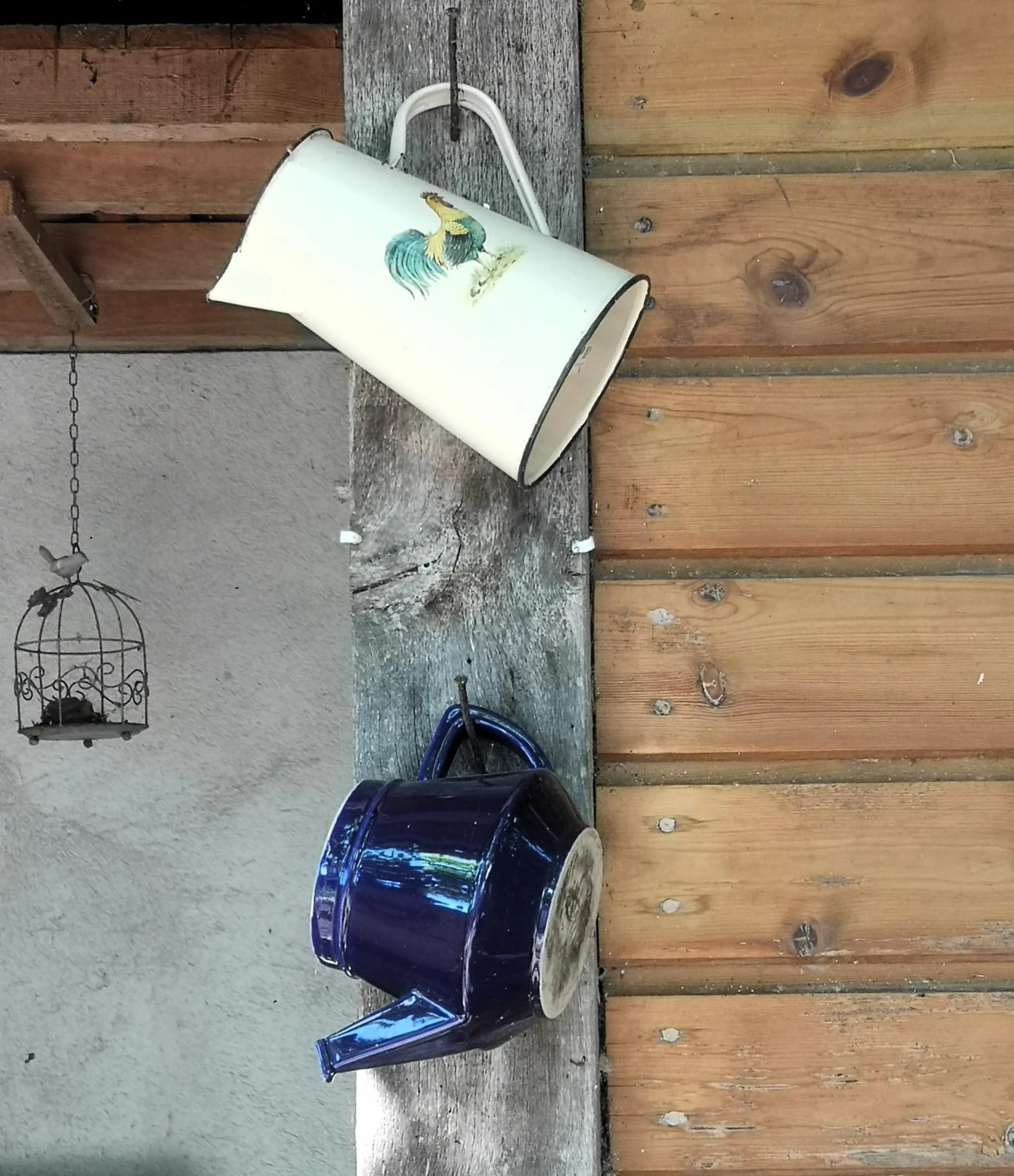 Les Eléphants bleus