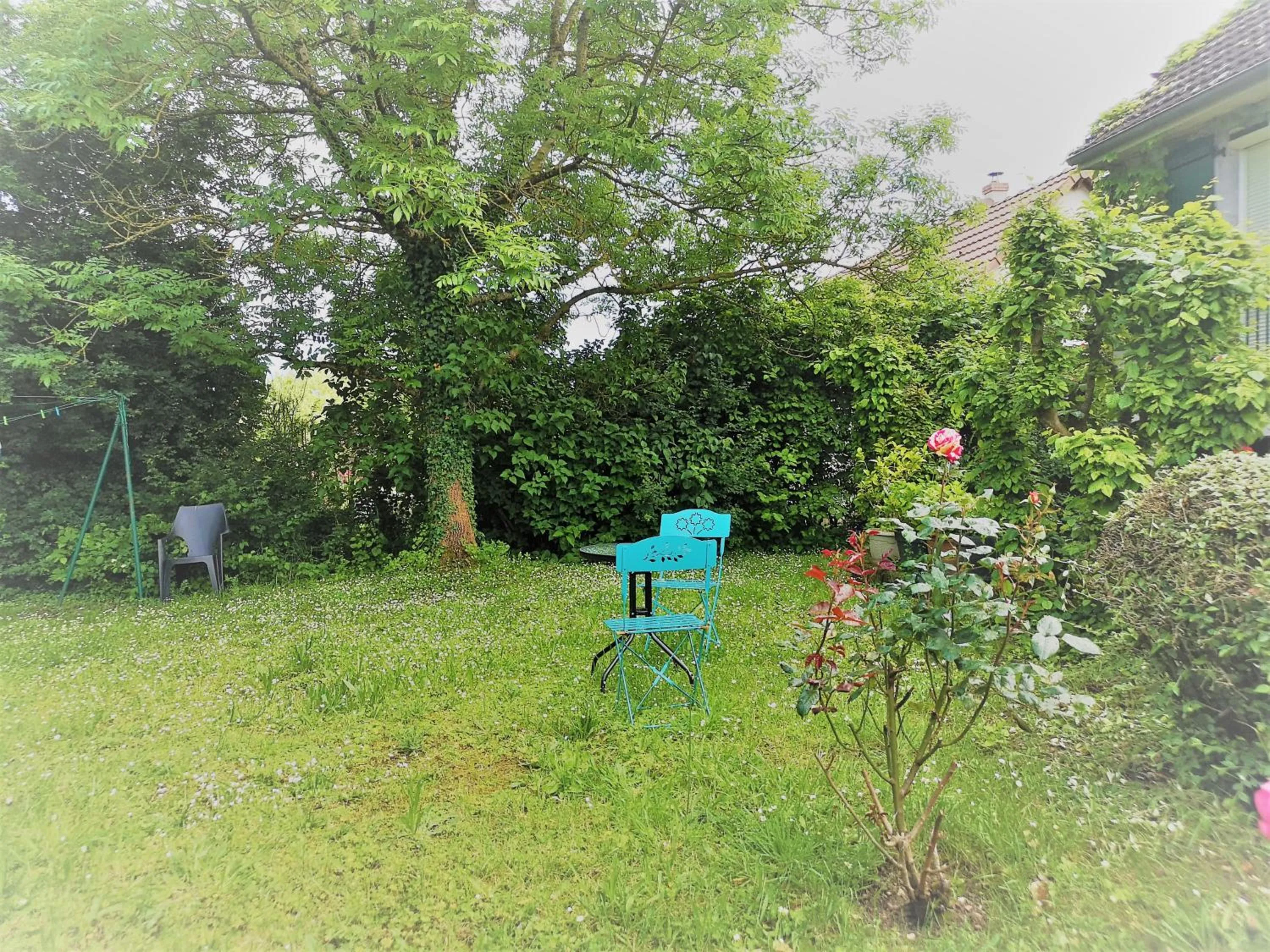 Les Eléphants bleus