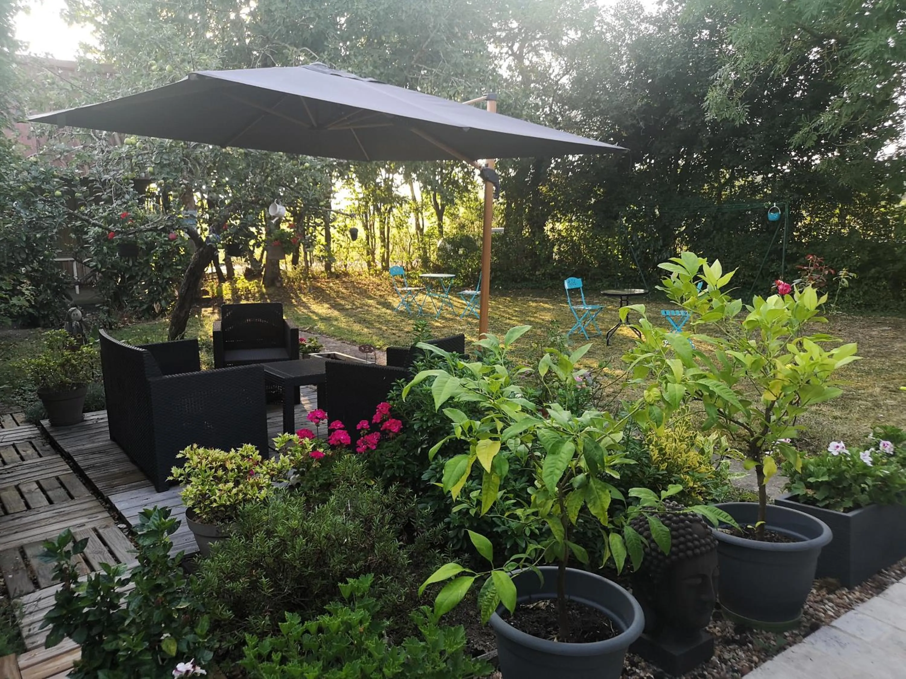 Les Eléphants bleus