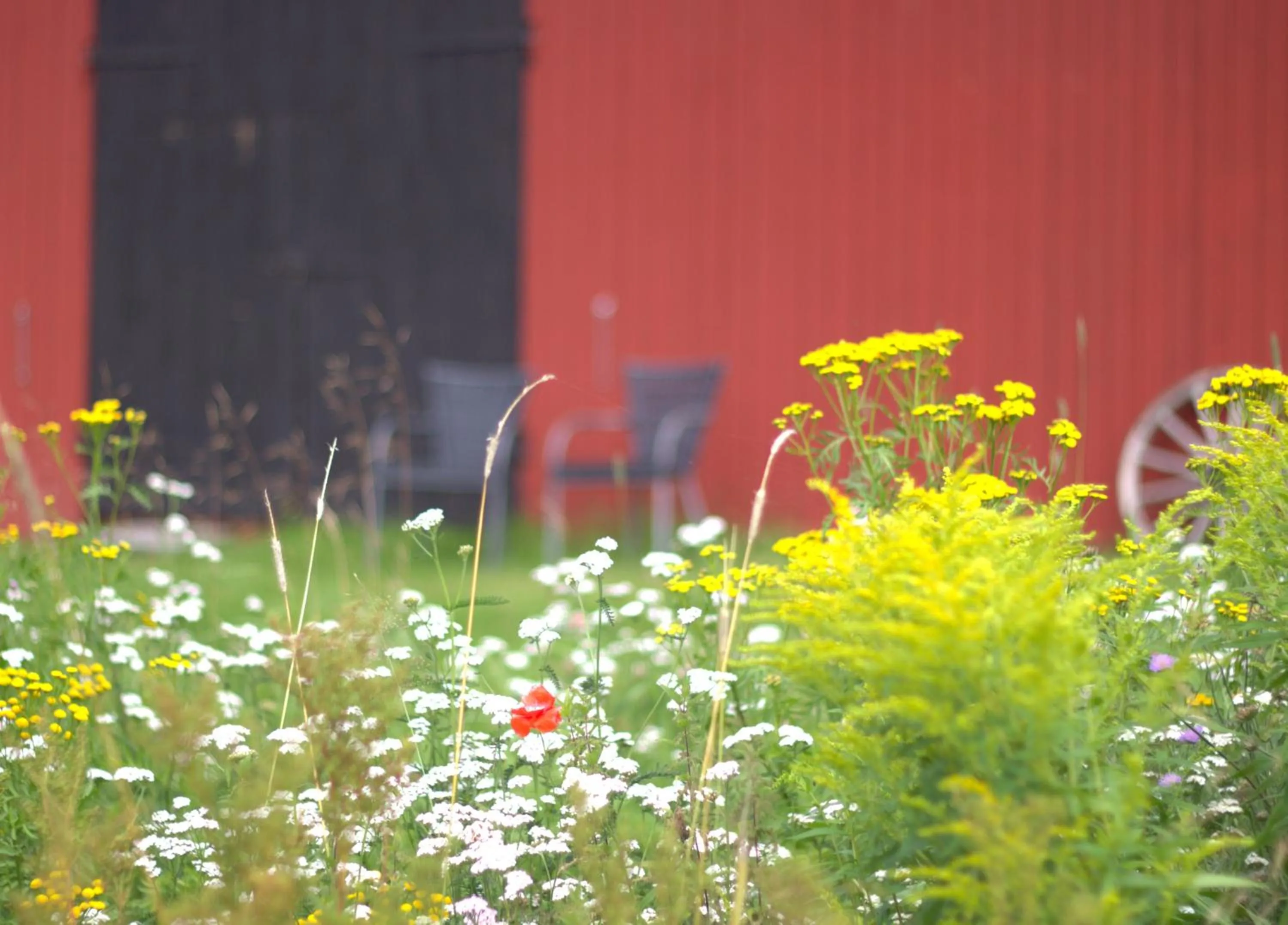 Garden in B&B Klarälvsbanan