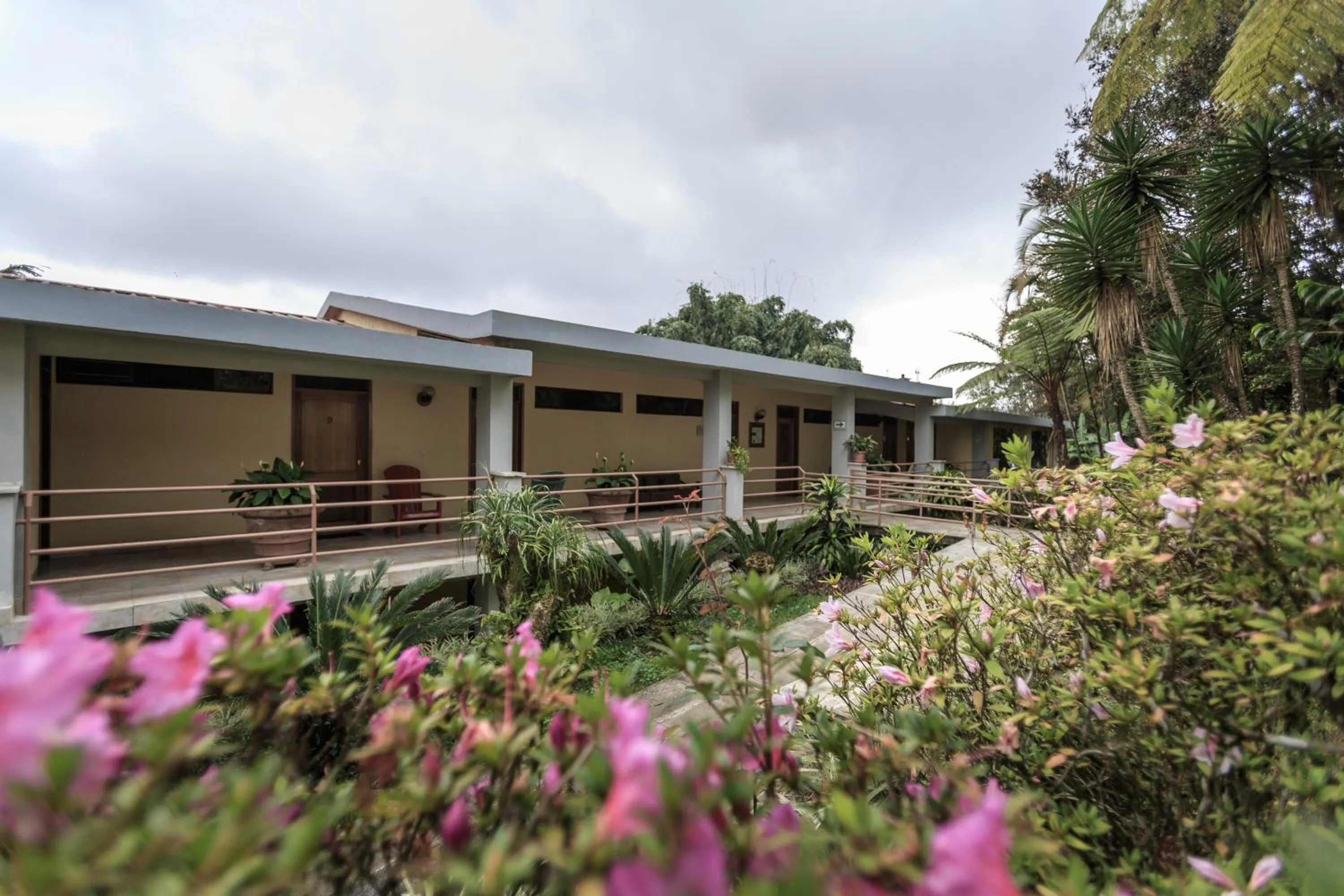 Property building in Park Hotel