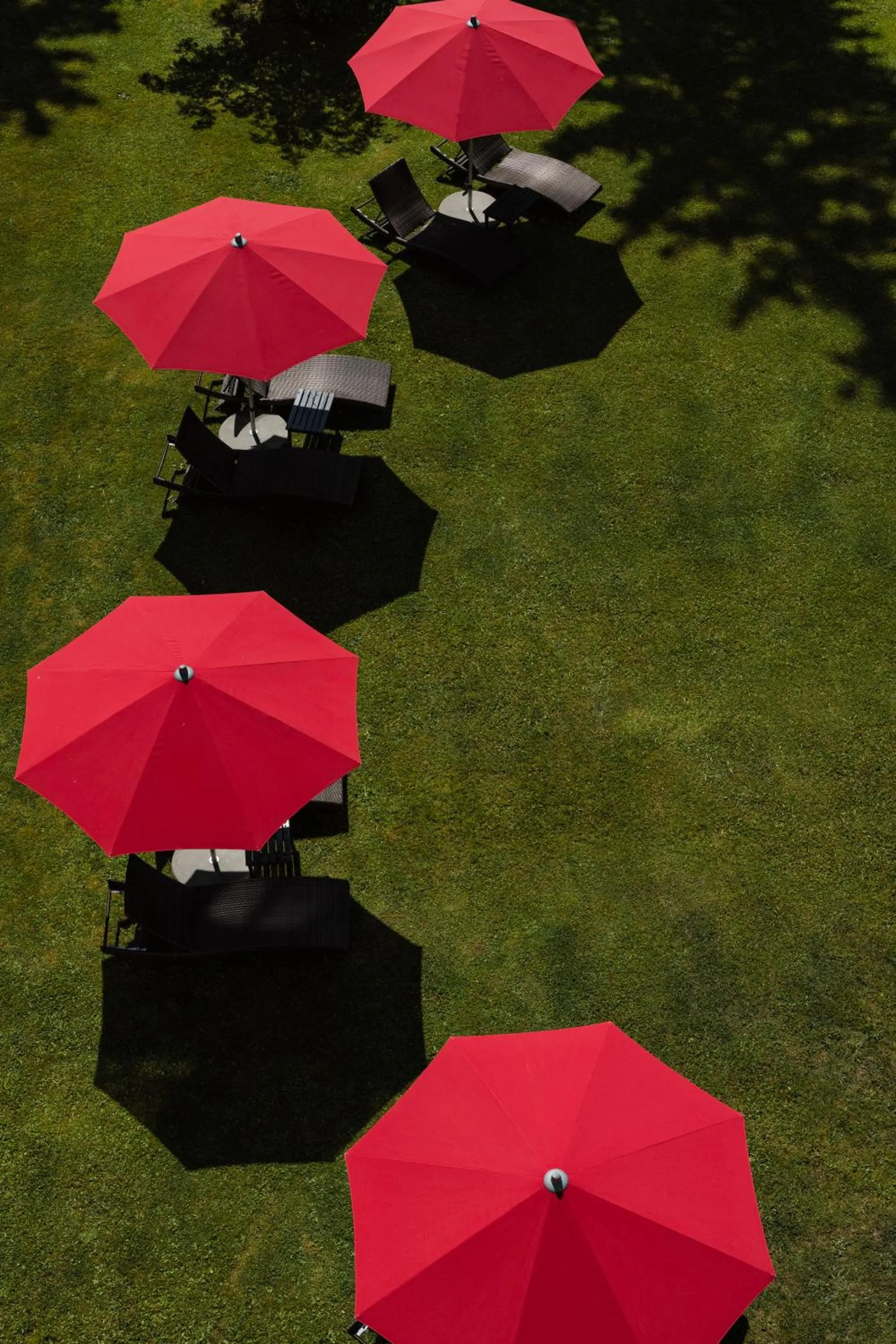 Garden in Cresta Palace Celerina St Moritz Ski In and Ski Out