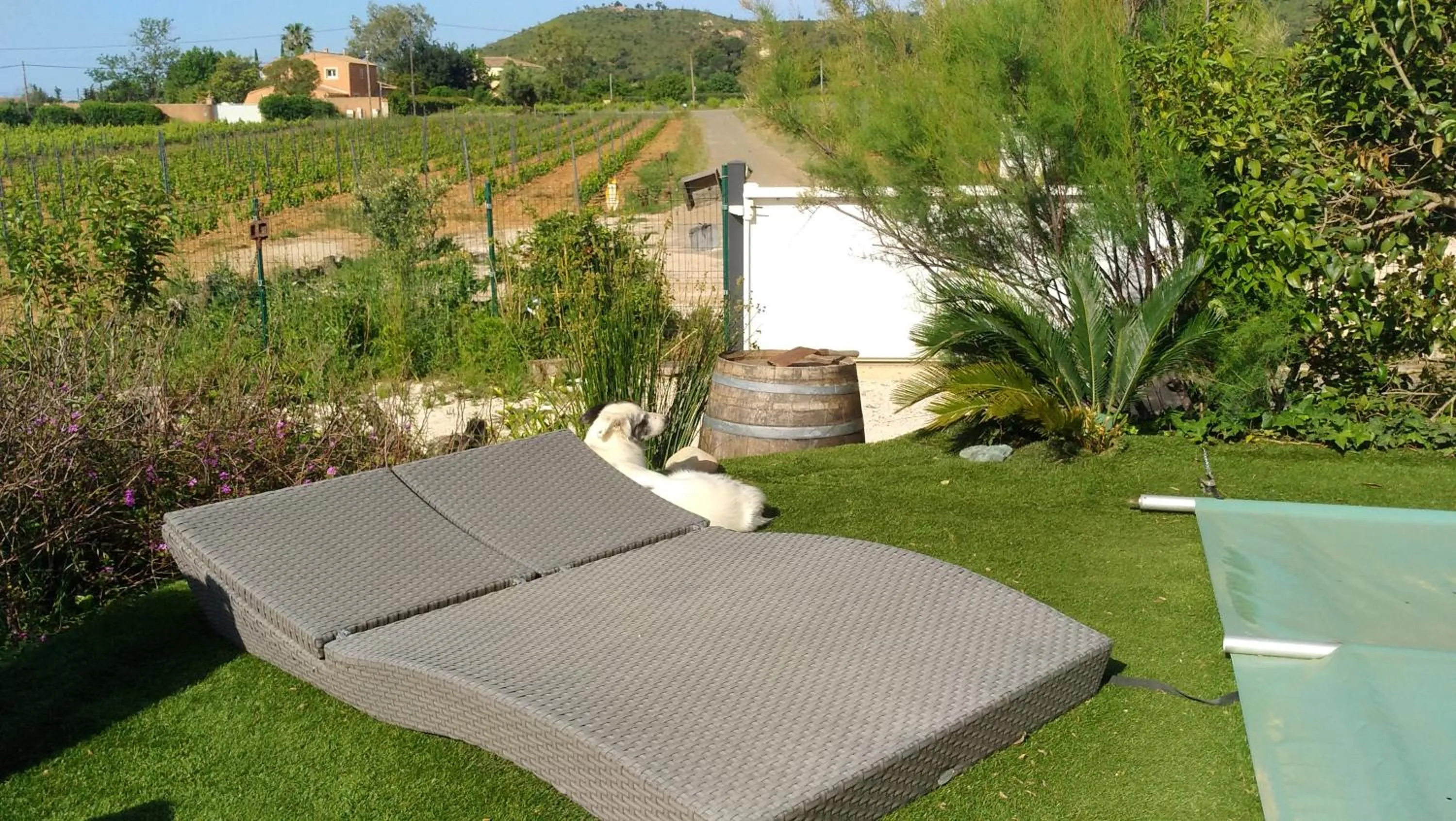 Swimming pool in La Bastide Neuve des Oliviers