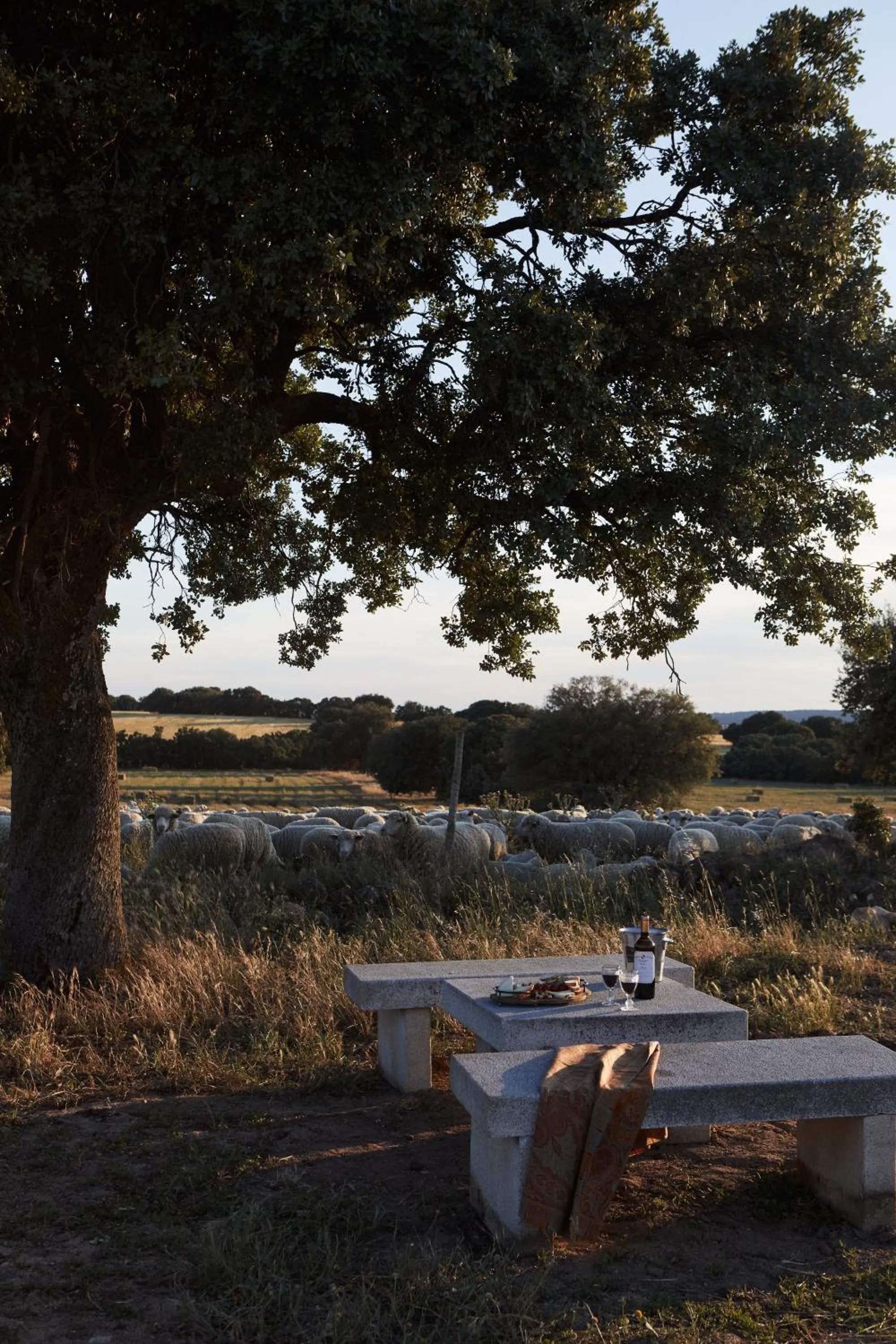 Hotel Caserio Aldeallana