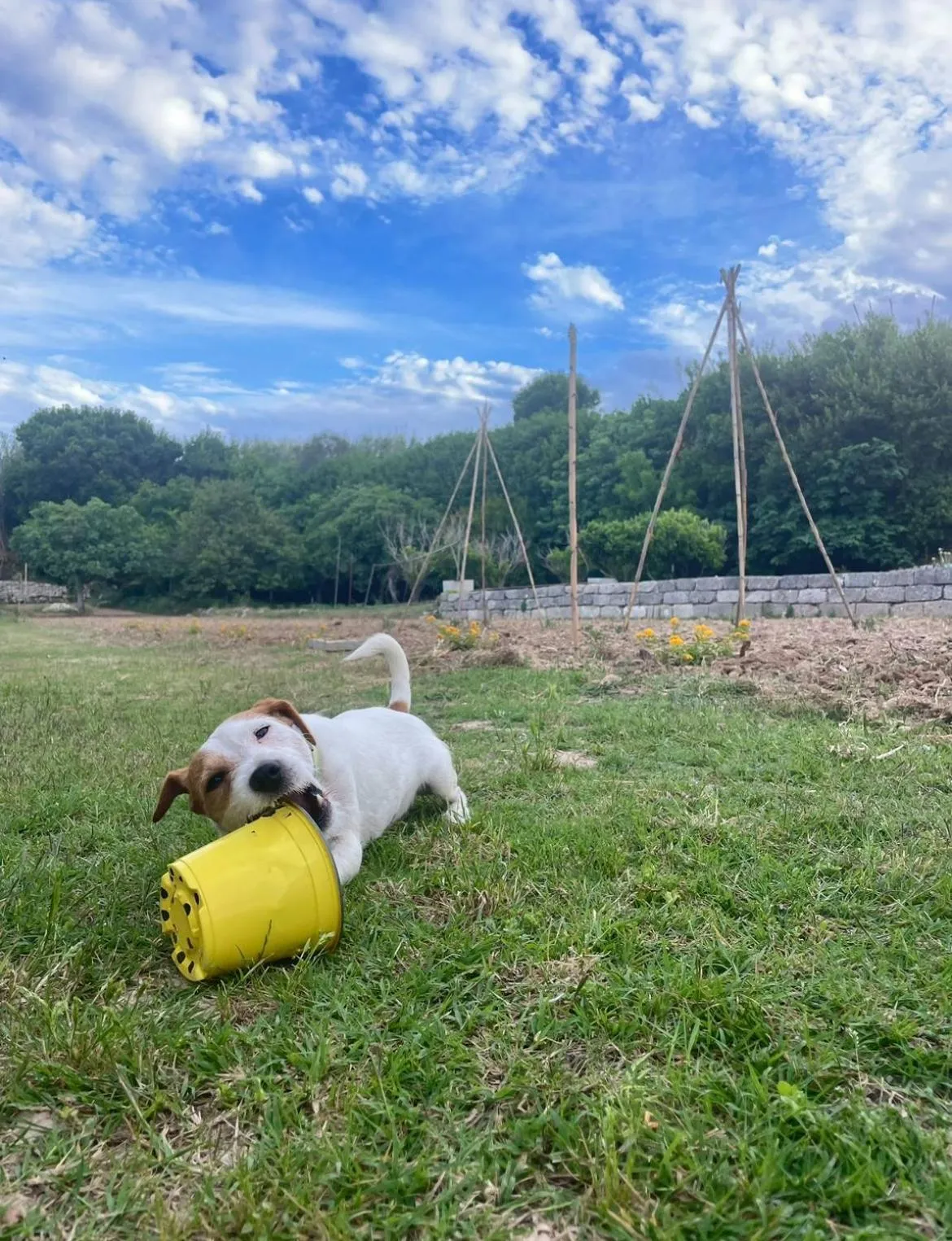 Natural landscape in Bio&B Acquaviva