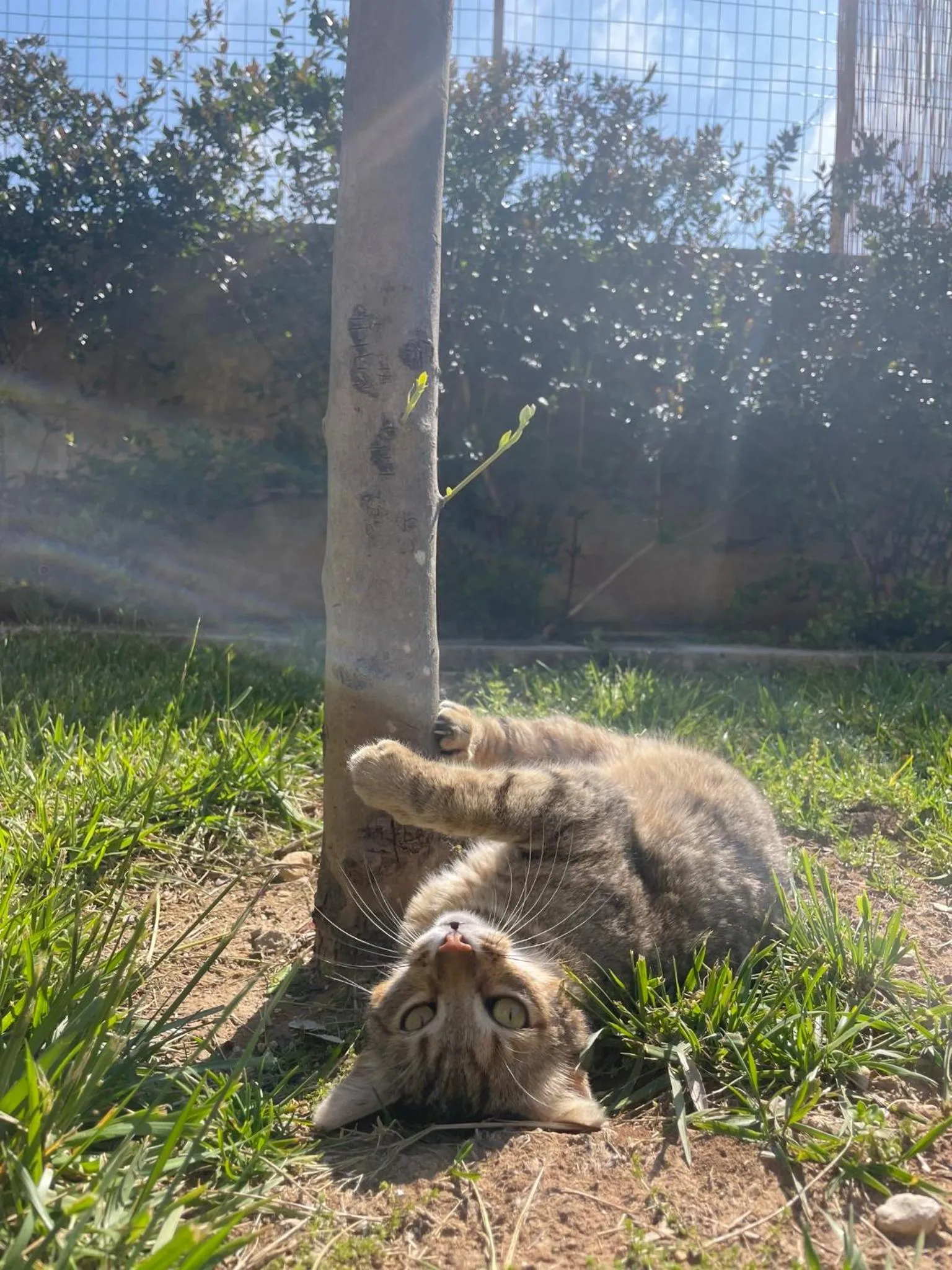 Animals in Bio&B Acquaviva