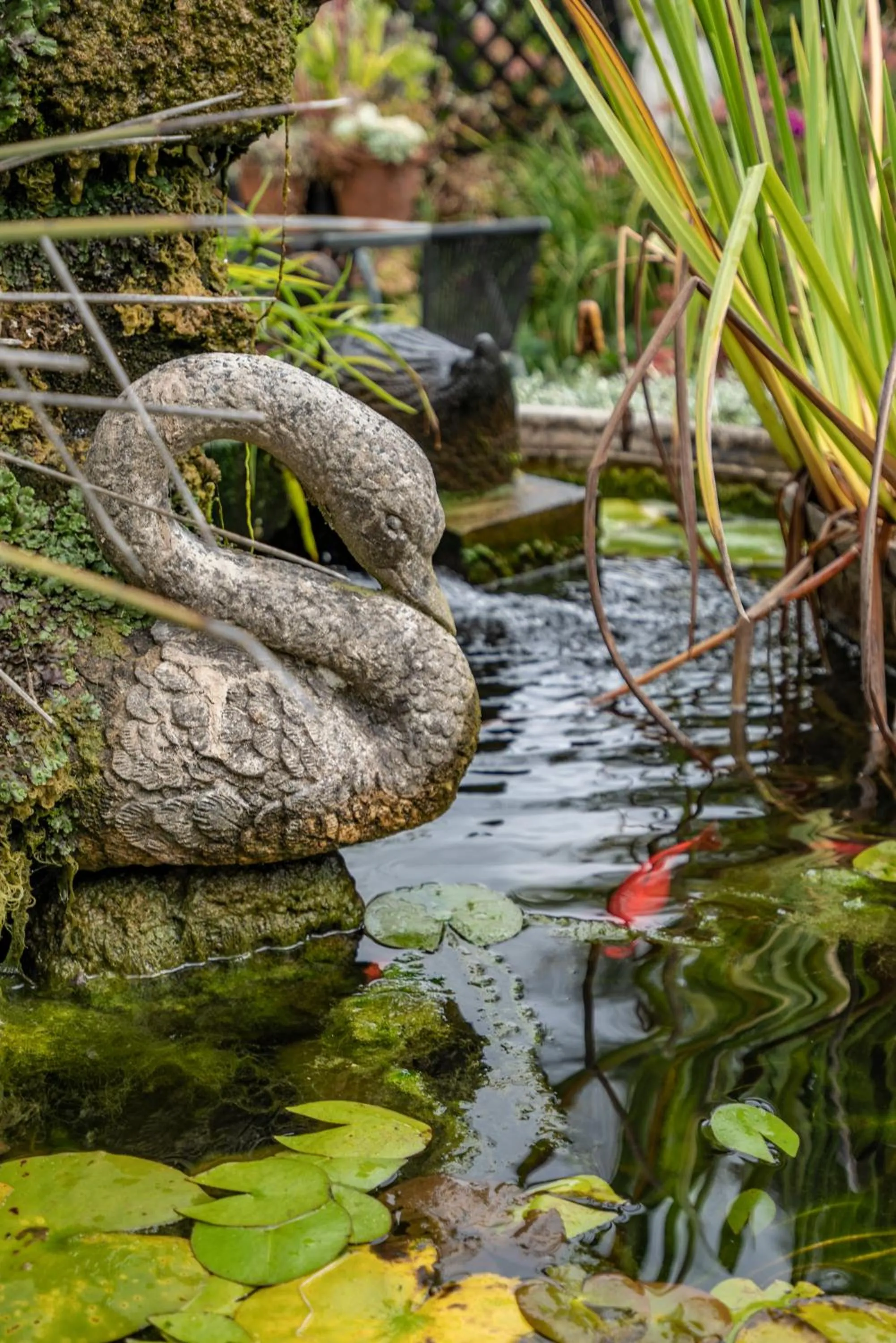 Garden in Dunrovin Motel