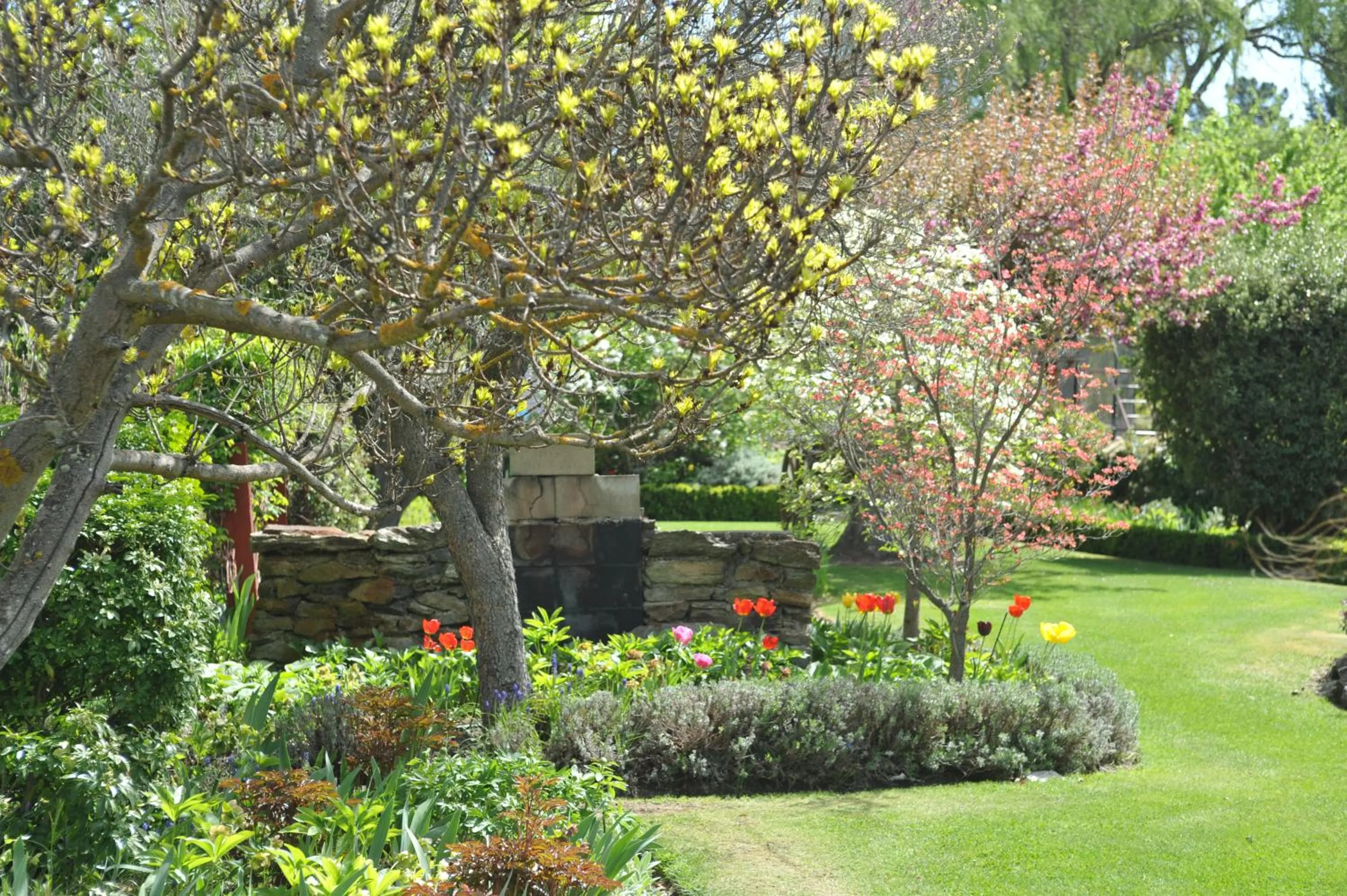 Garden in Alexandra Garden Court Motel