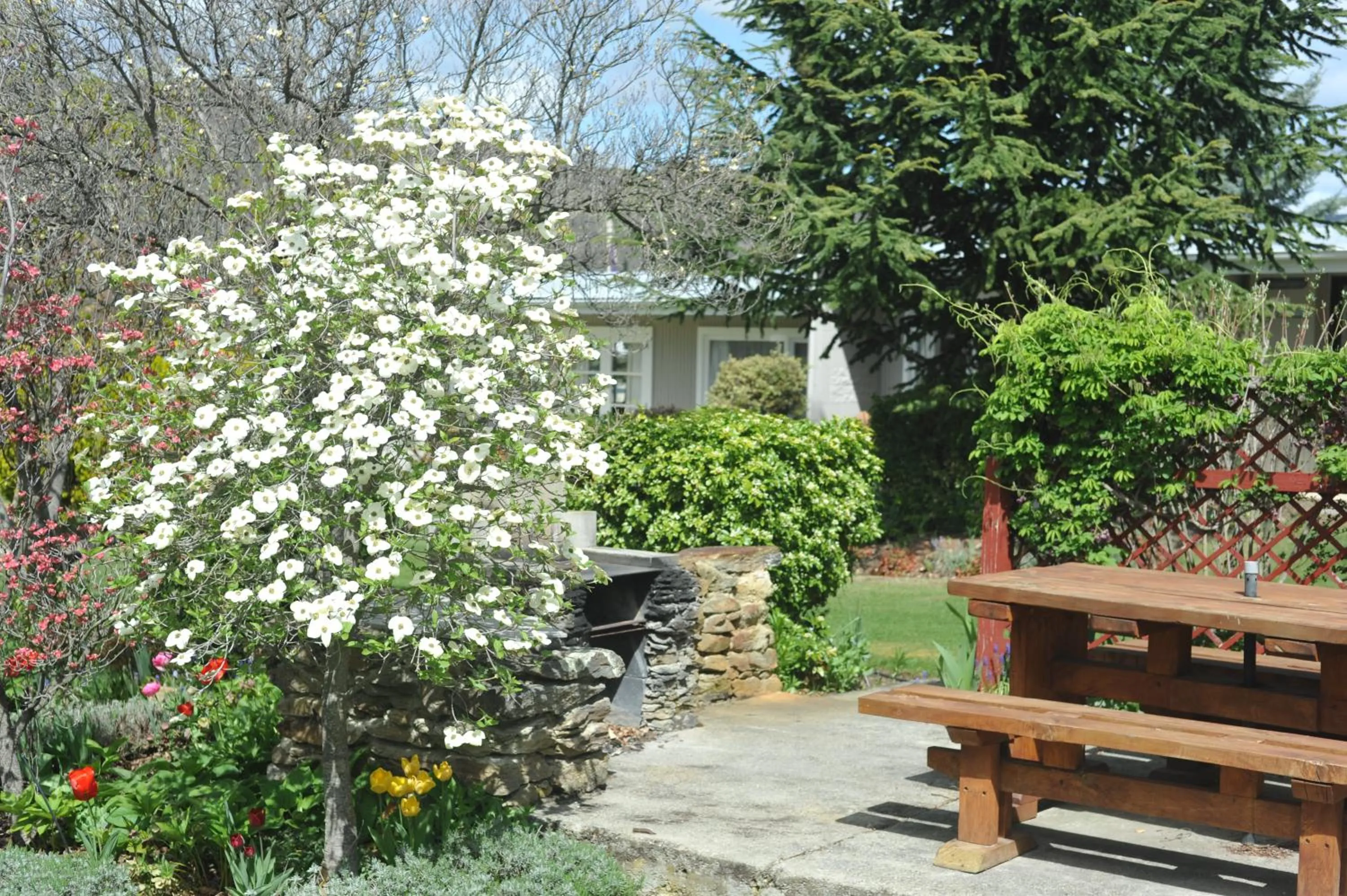 Garden in Alexandra Garden Court Motel