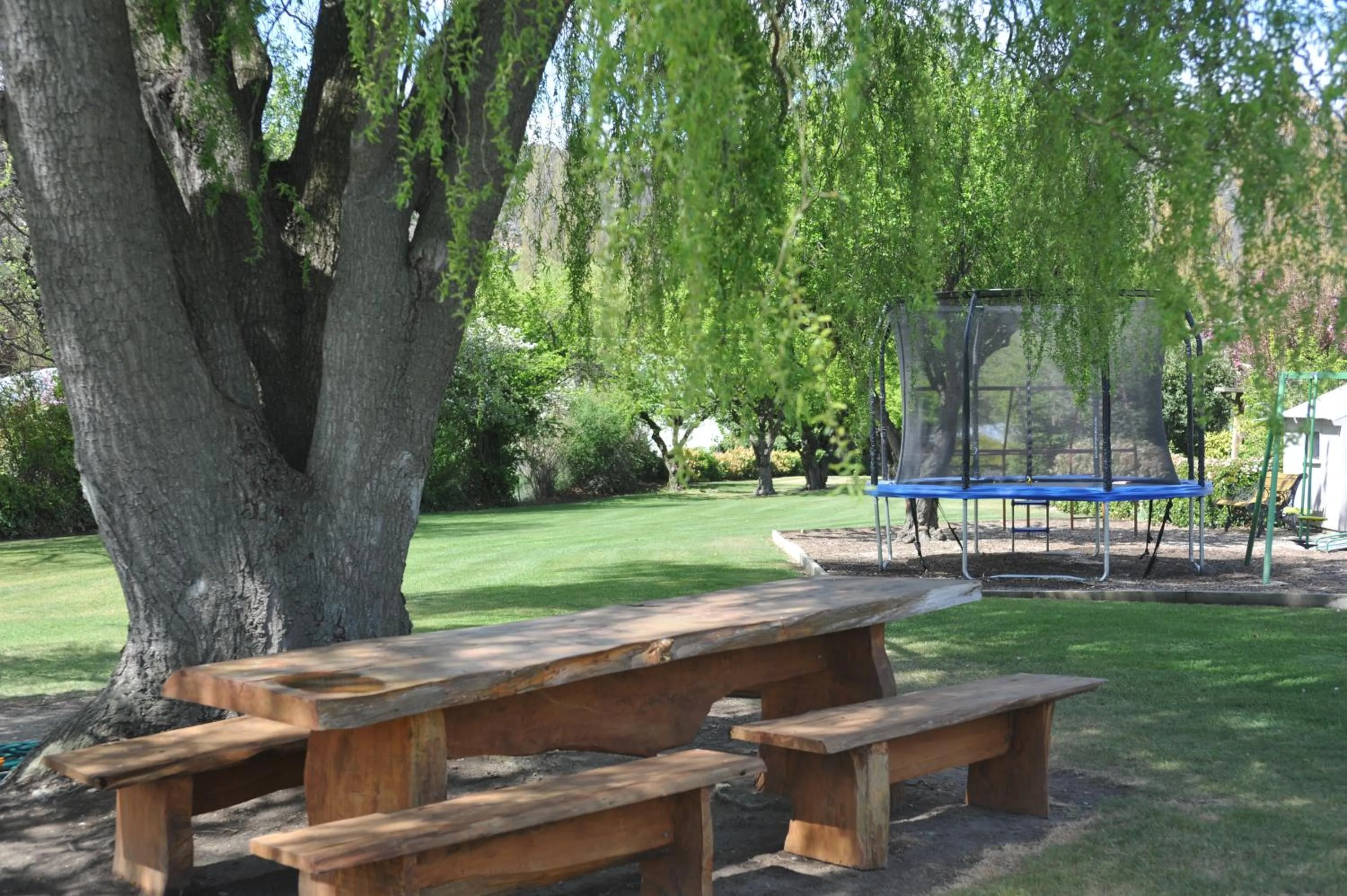 Garden in Alexandra Garden Court Motel