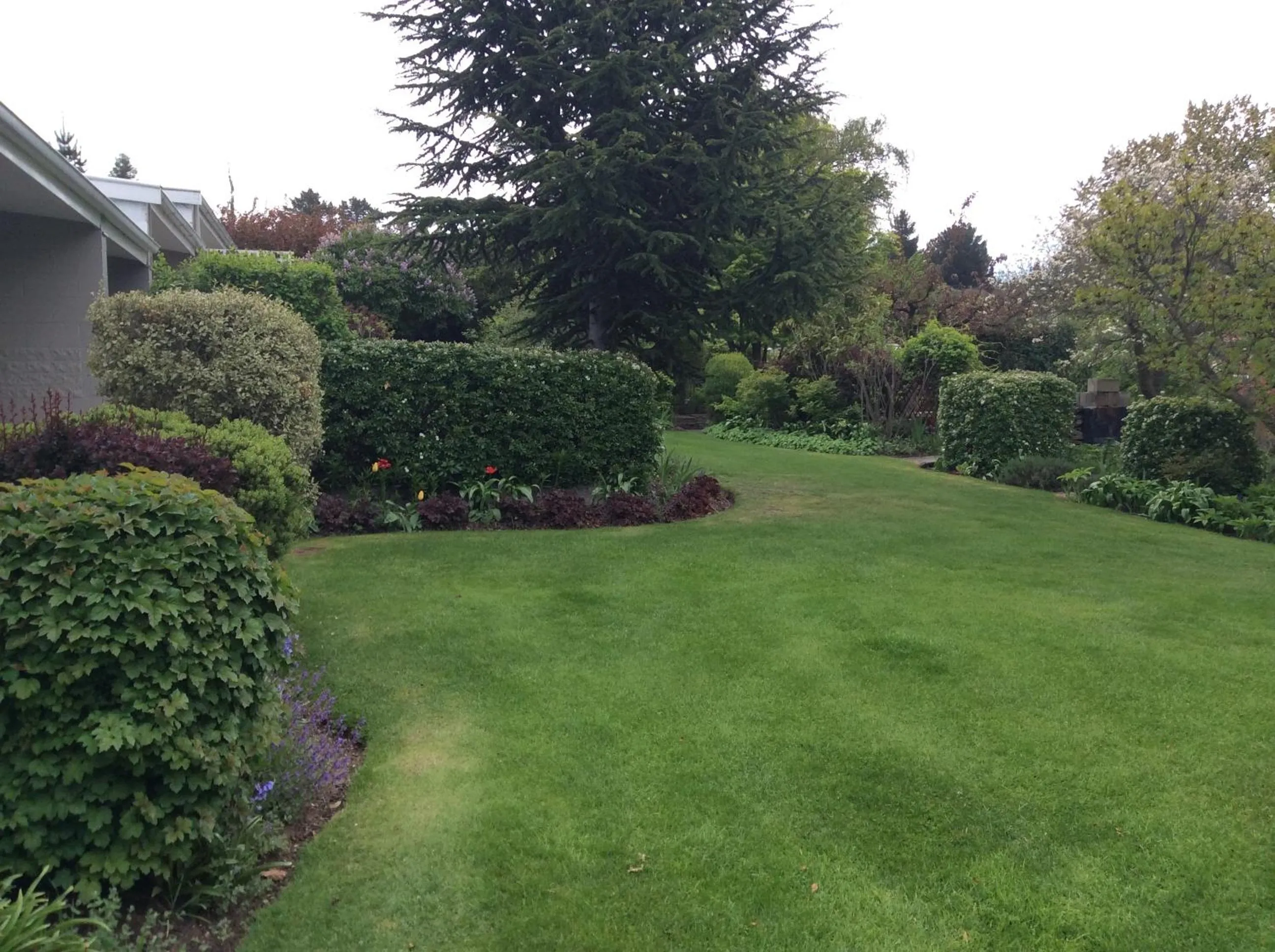 Garden in Alexandra Garden Court Motel